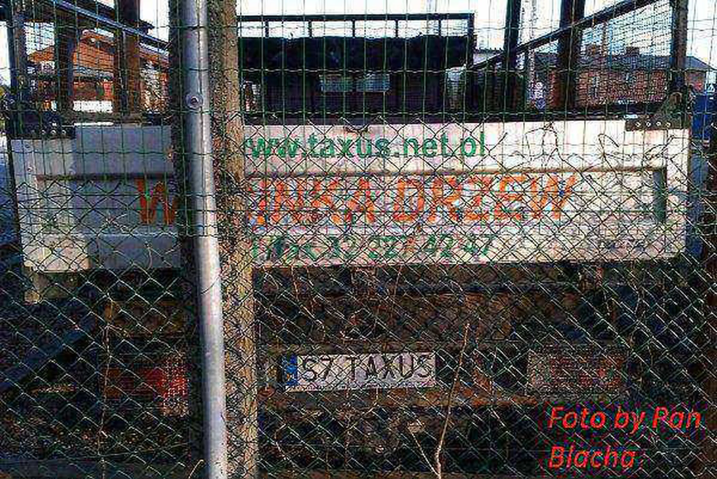 Fajny numer, blacha S7 TAXUS