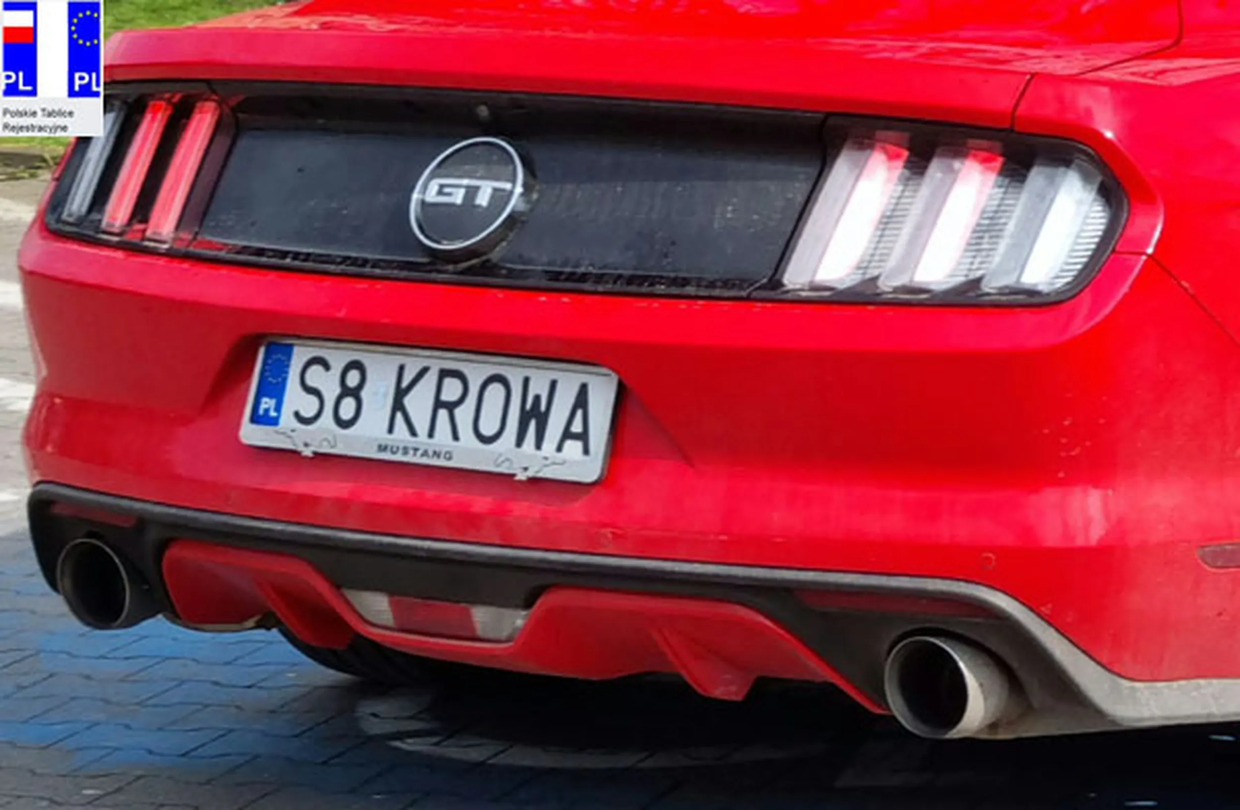 Fajny numer, blacha S8 KROWA