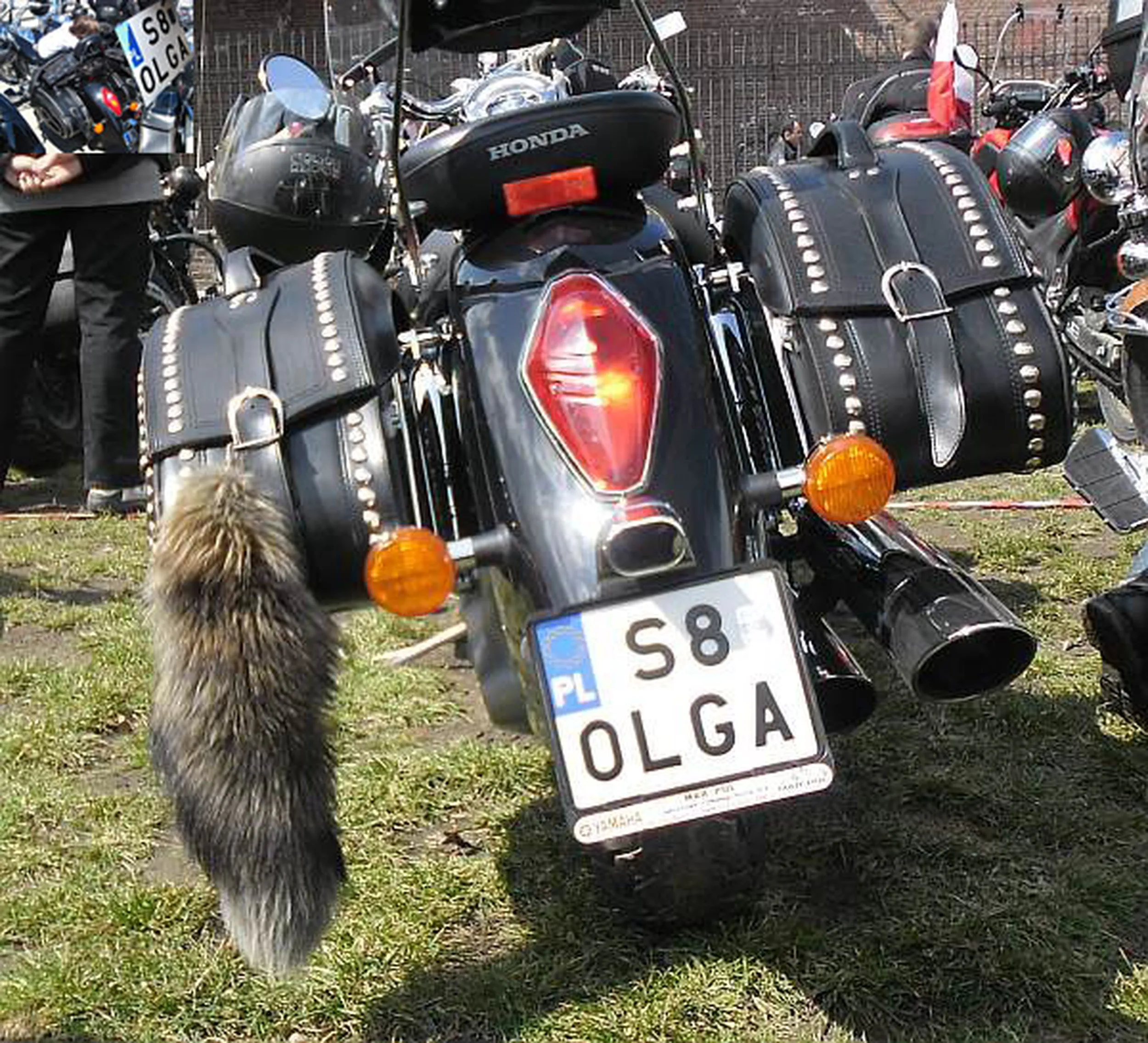 Fajny numer, blacha S8 OLGA