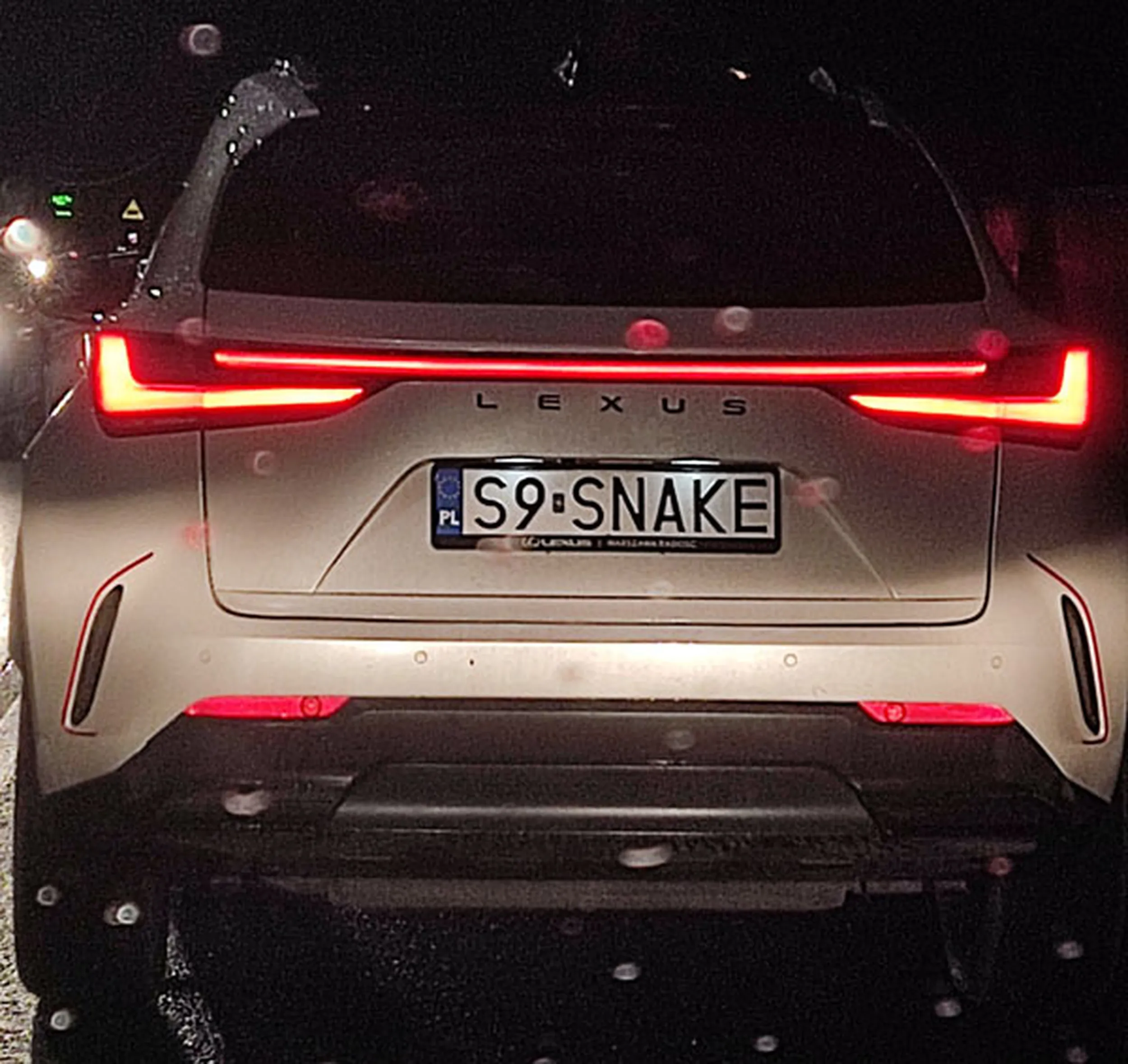 Fajny numer, blacha S9 SNAKE