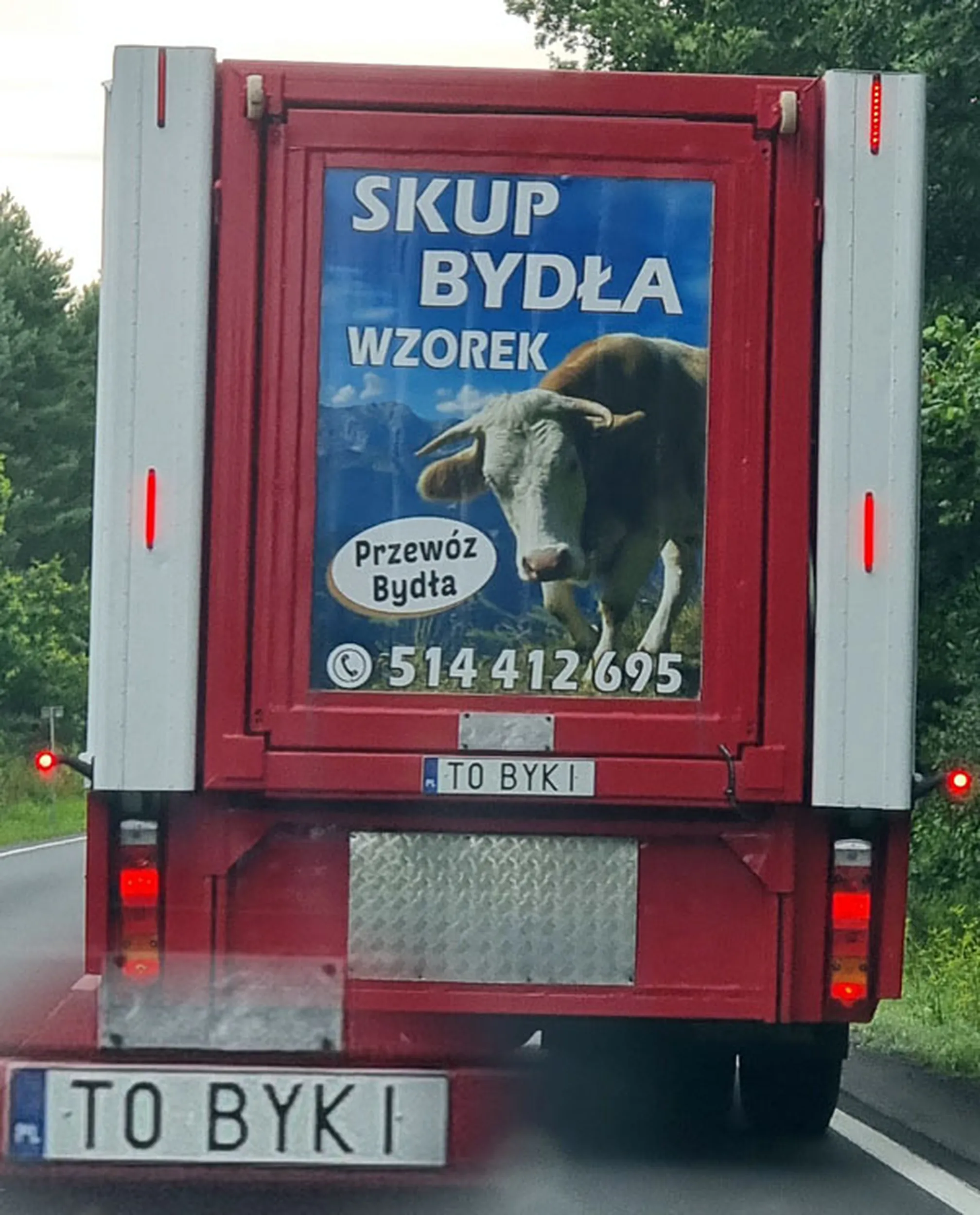 Fajny numer, blacha T0 BYKI