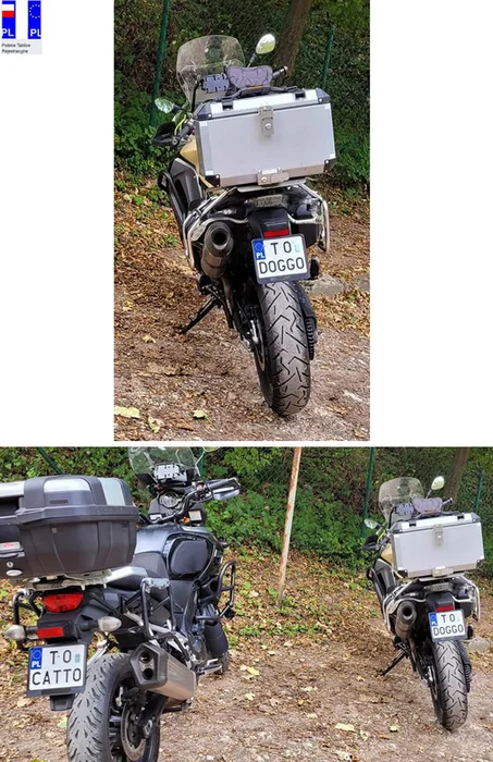 Fajny numer, blacha T0 DOGGO