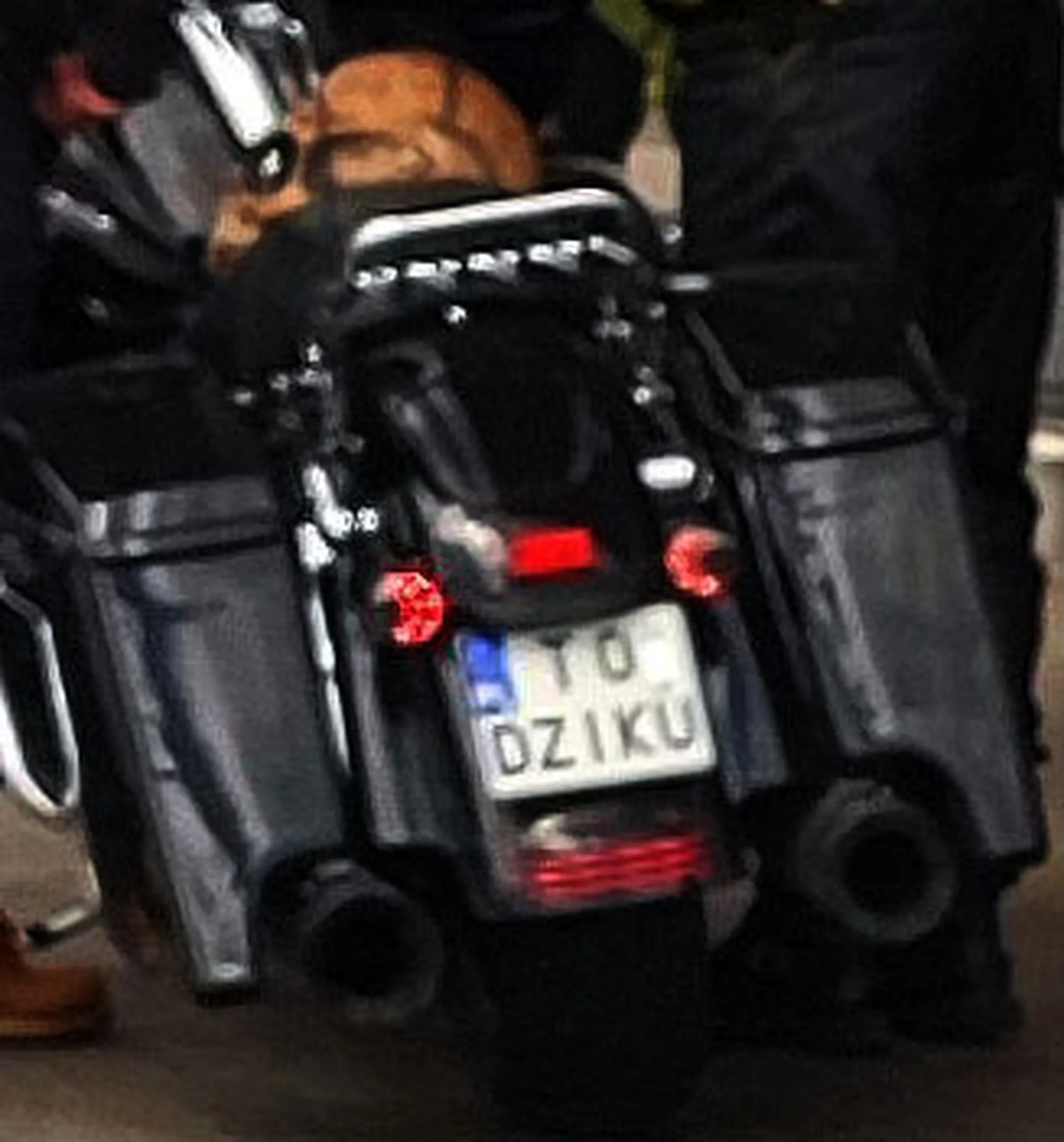 Fajny numer, blacha T0 DZIKU