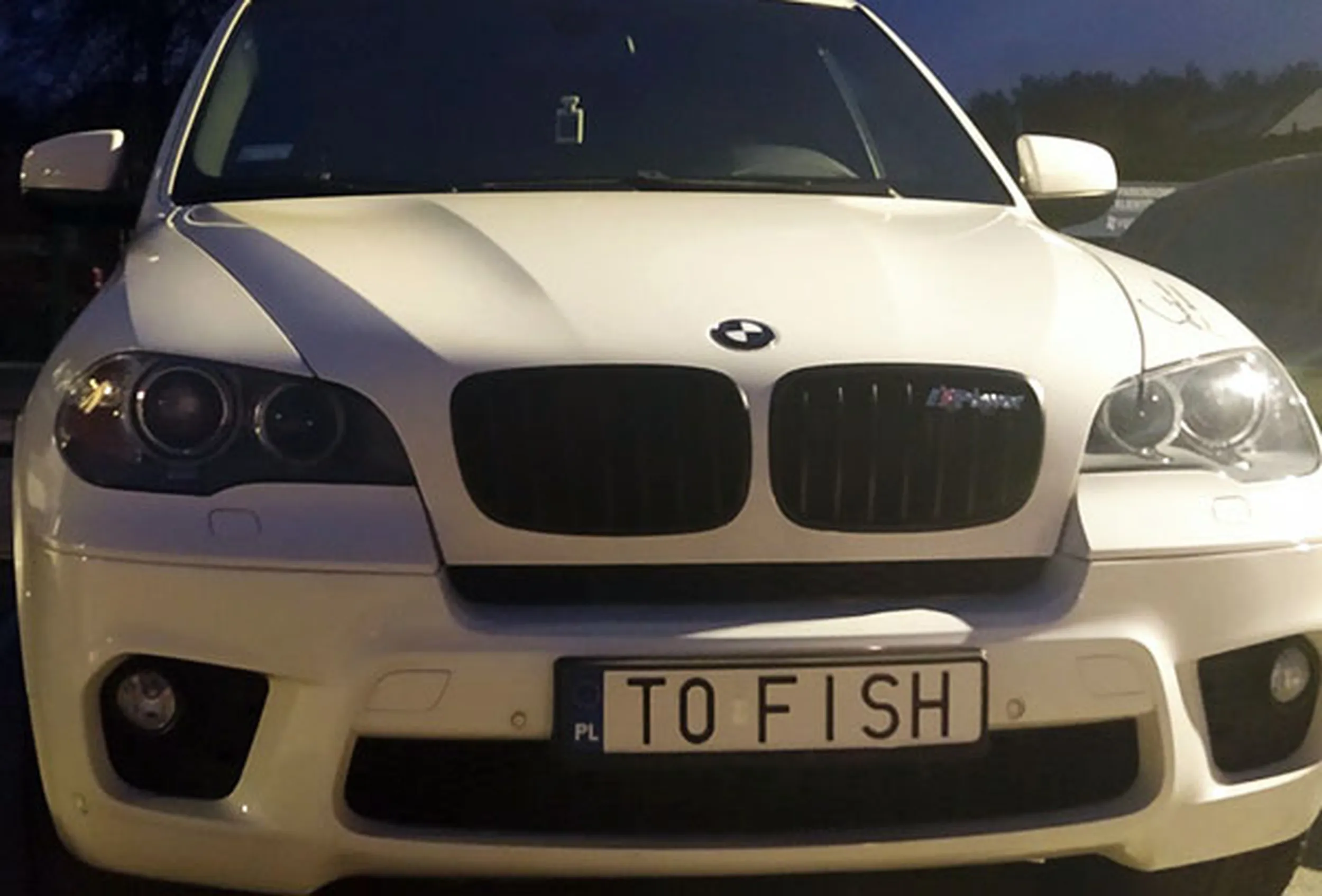 Fajny numer, blacha T0 FISH