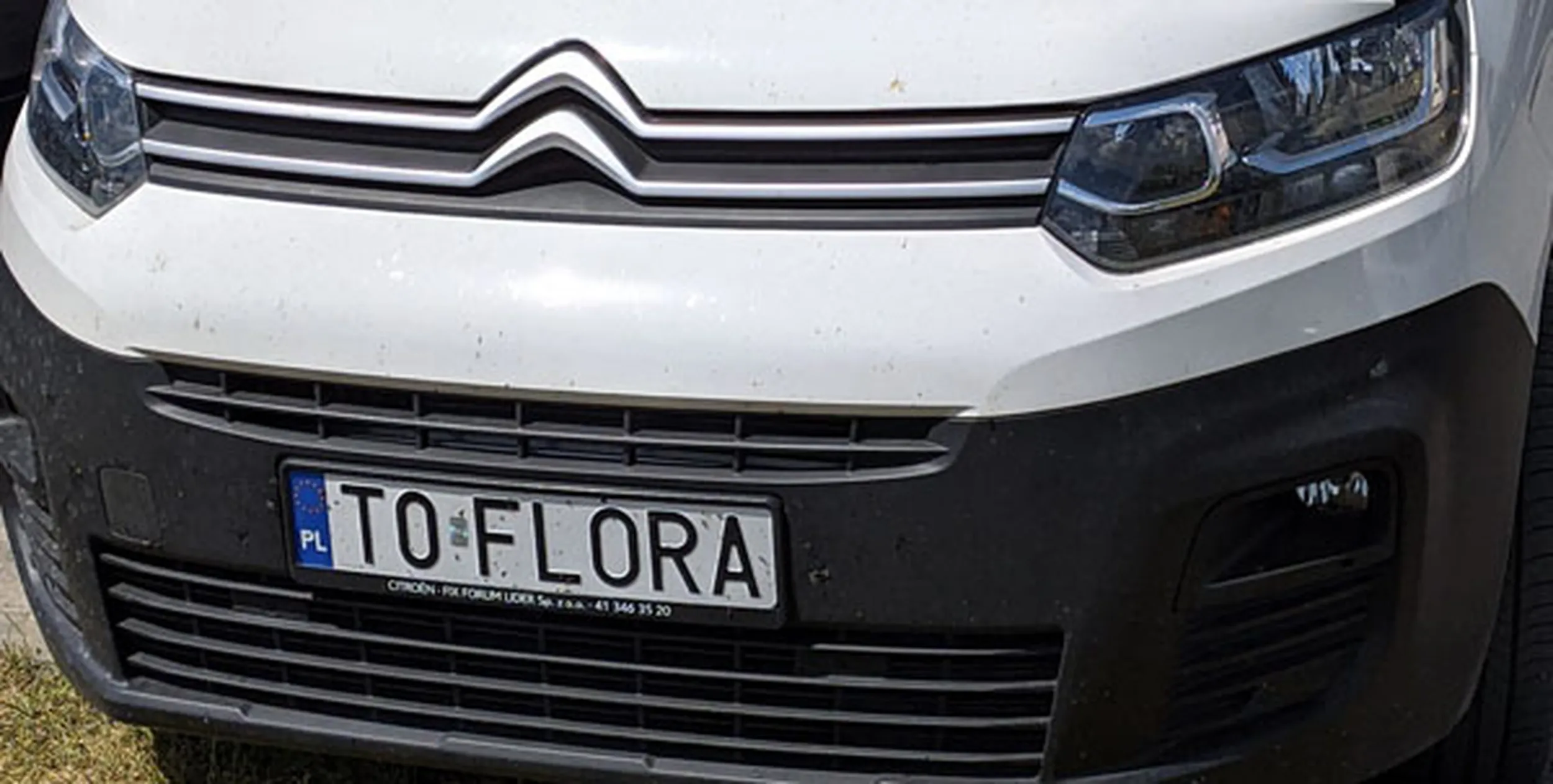 Fajny numer, blacha T0 FLORA