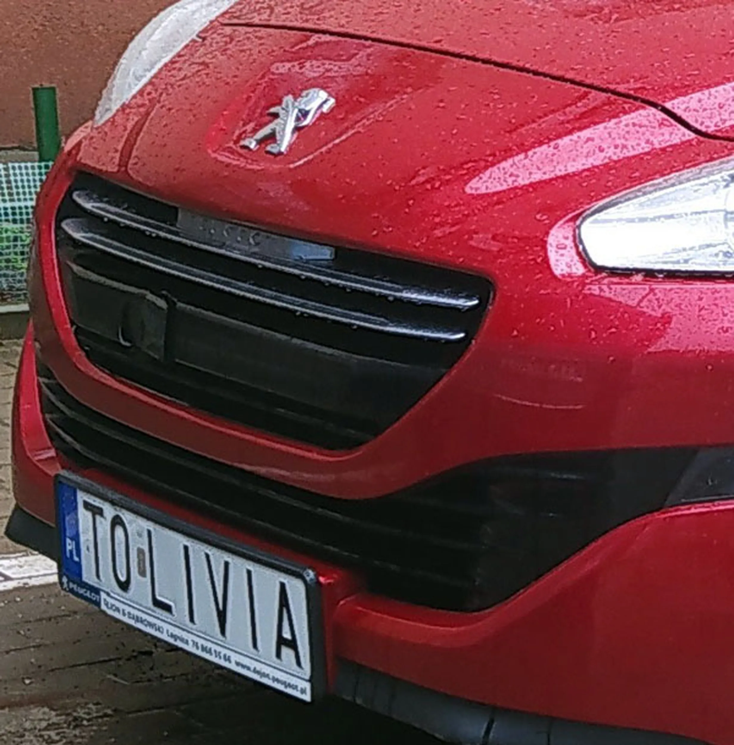 Fajny numer, blacha T0 LIVIA