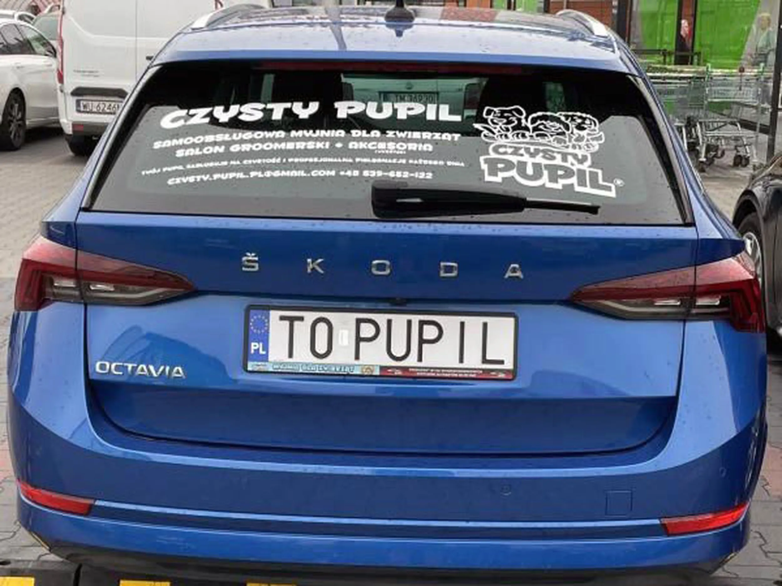 Fajny numer, blacha T0 PUPIL