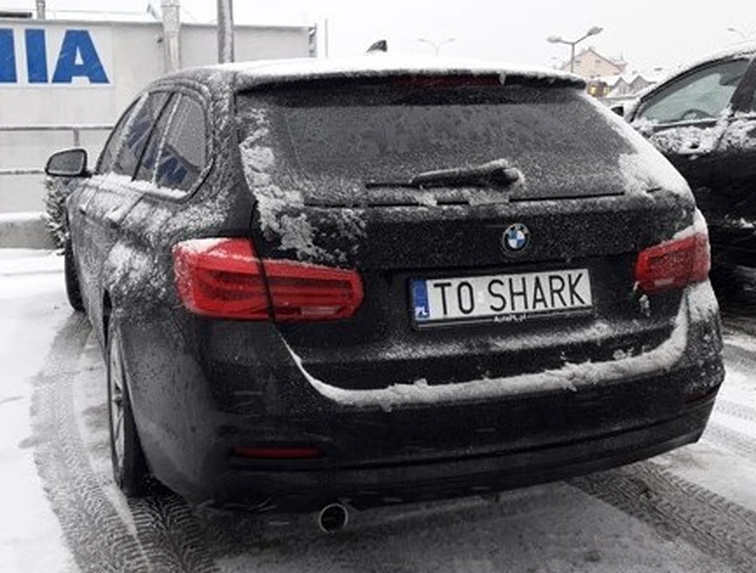 Fajny numer, blacha T0 SHARK