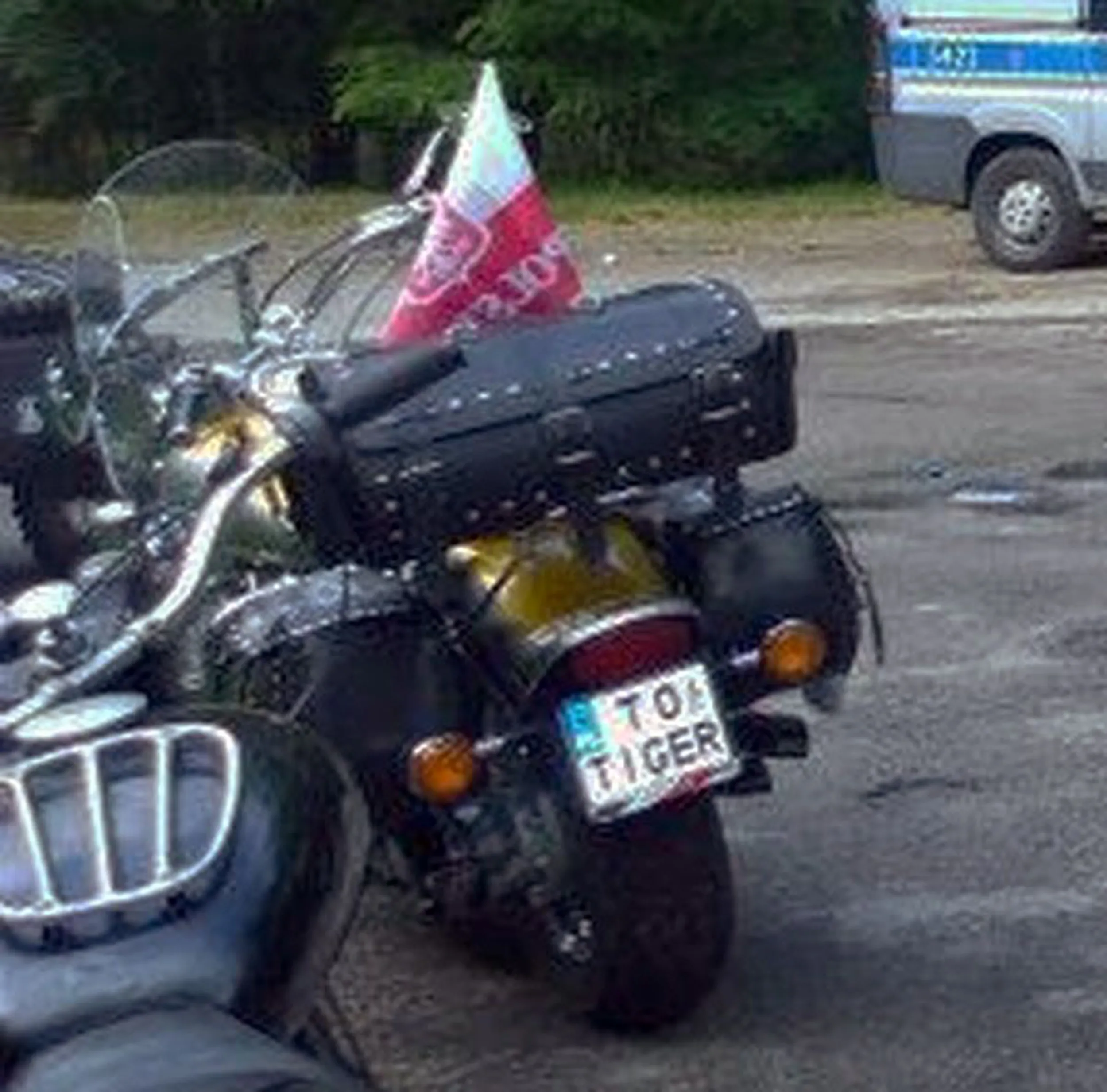 Fajny numer, blacha T0 TIGER