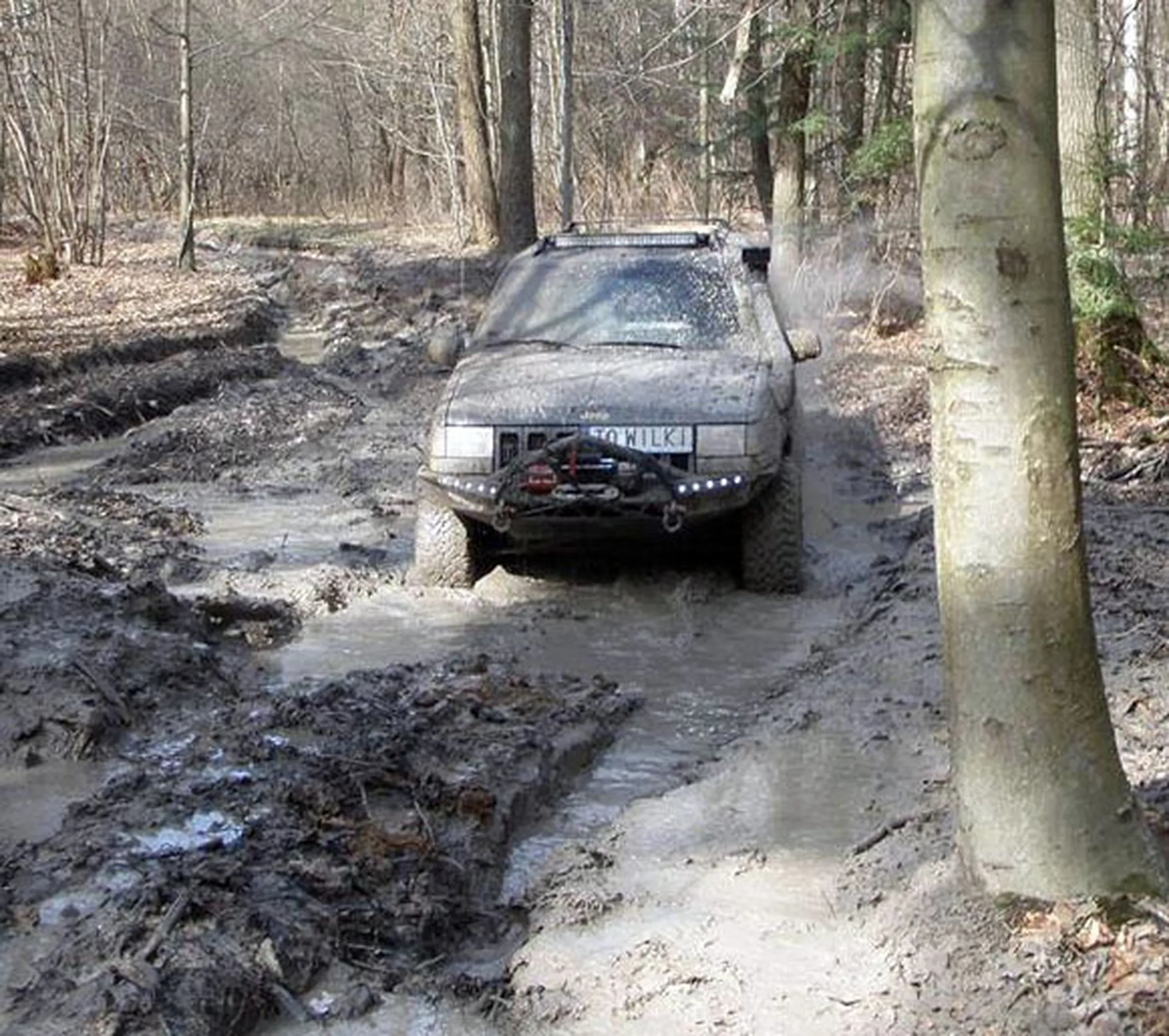 Fajny numer, blacha T0 WILKI