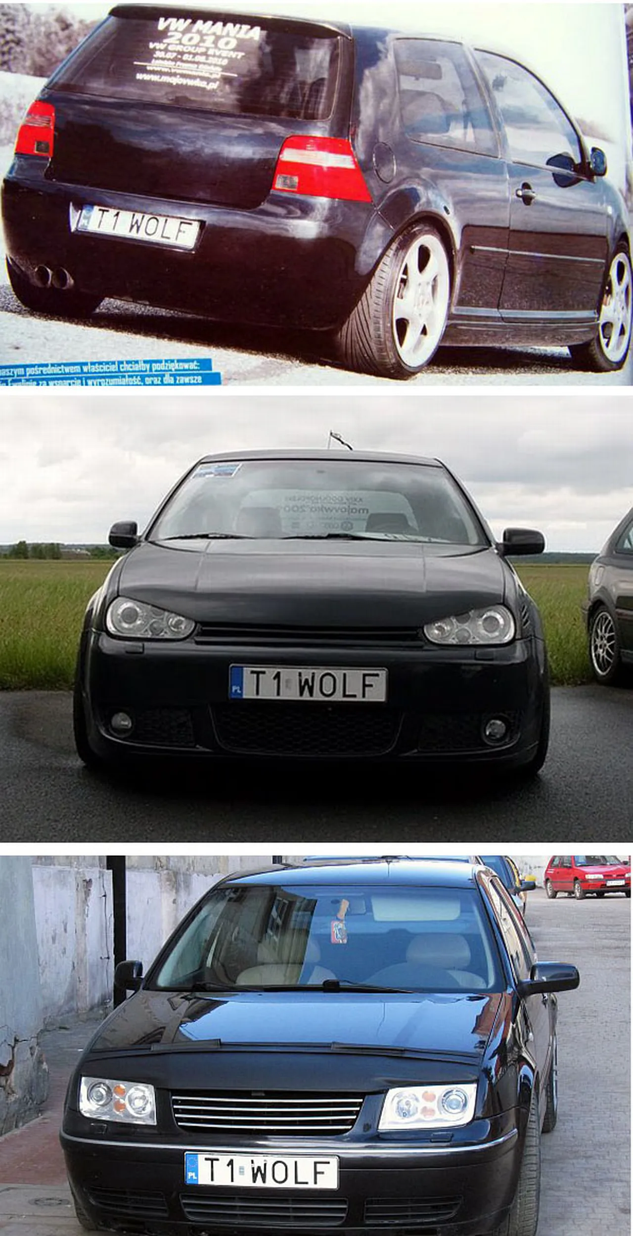 Fajny numer, blacha T1 WOLF