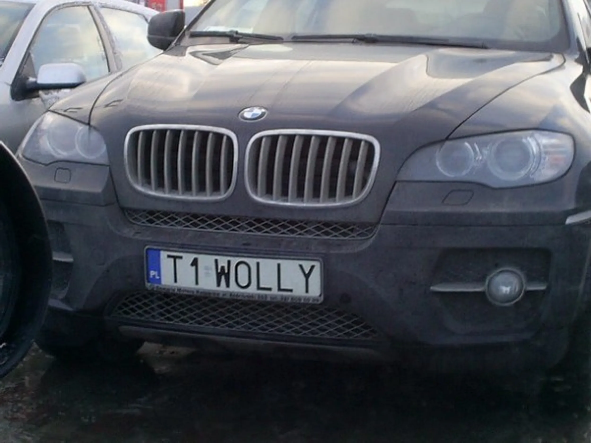 Fajny numer, blacha T1 WOLLY