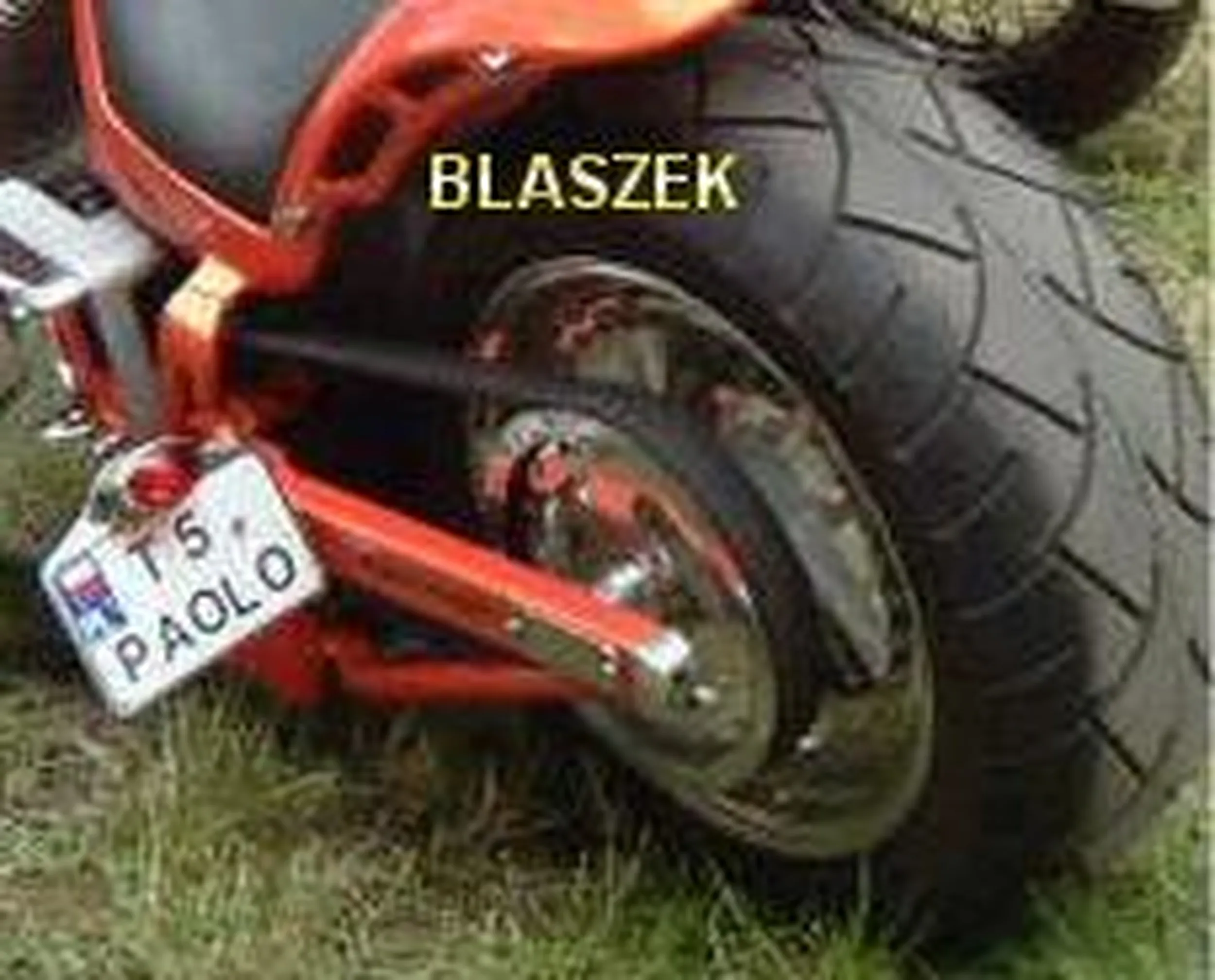 Fajny numer, blacha T5 PAOLO