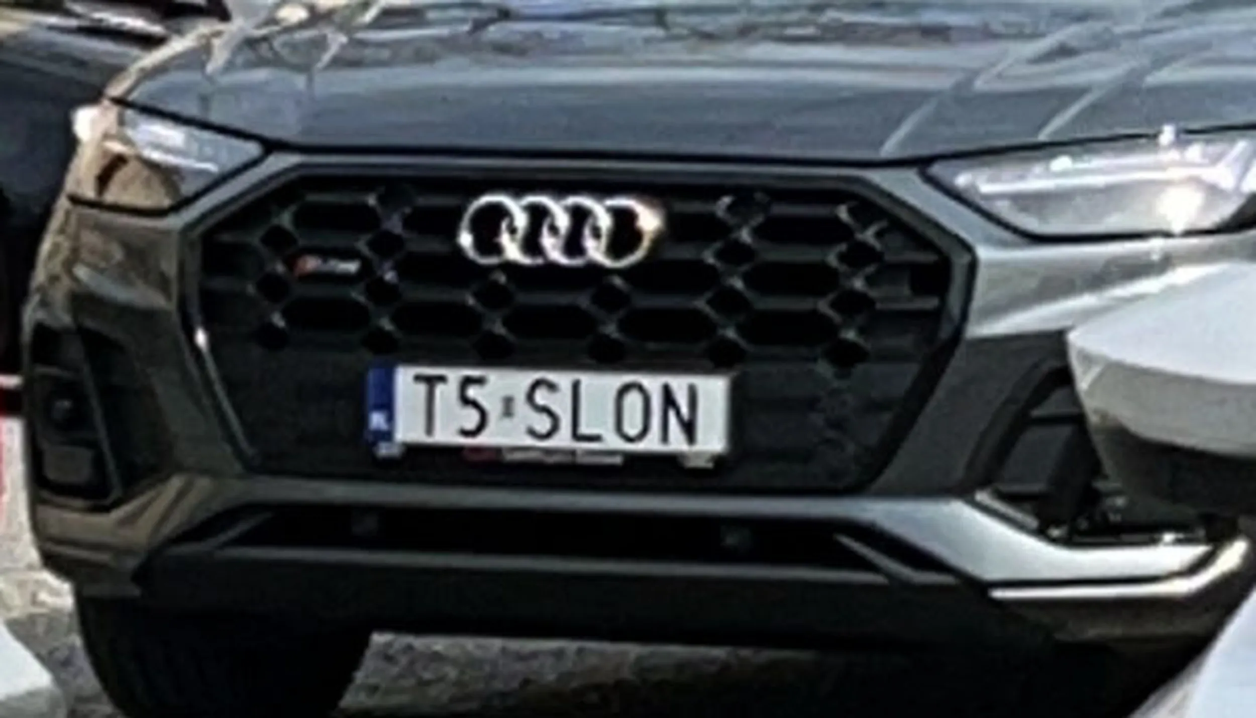 Fajny numer, blacha T5 SLON