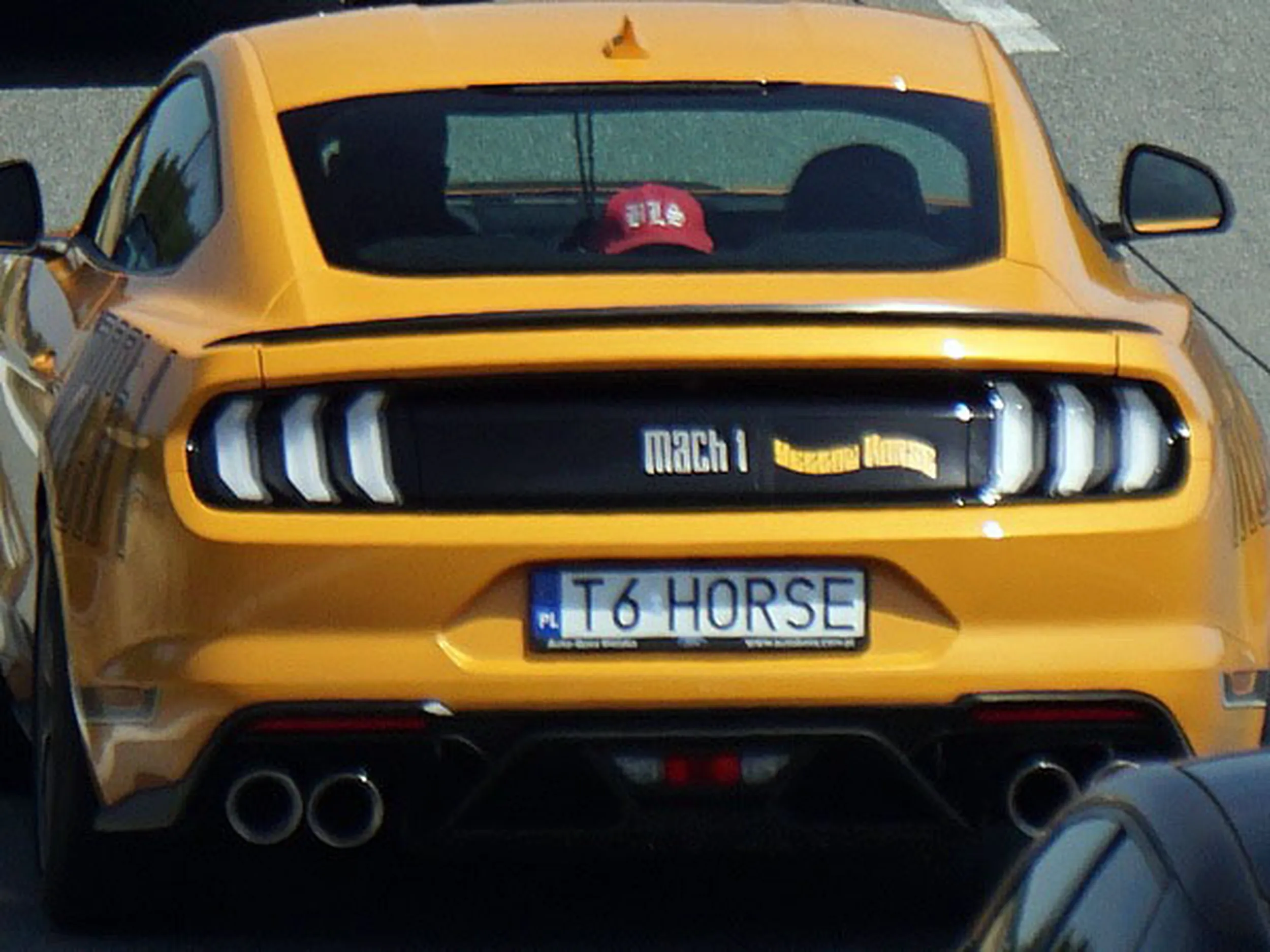 Fajny numer, blacha T6 HORSE