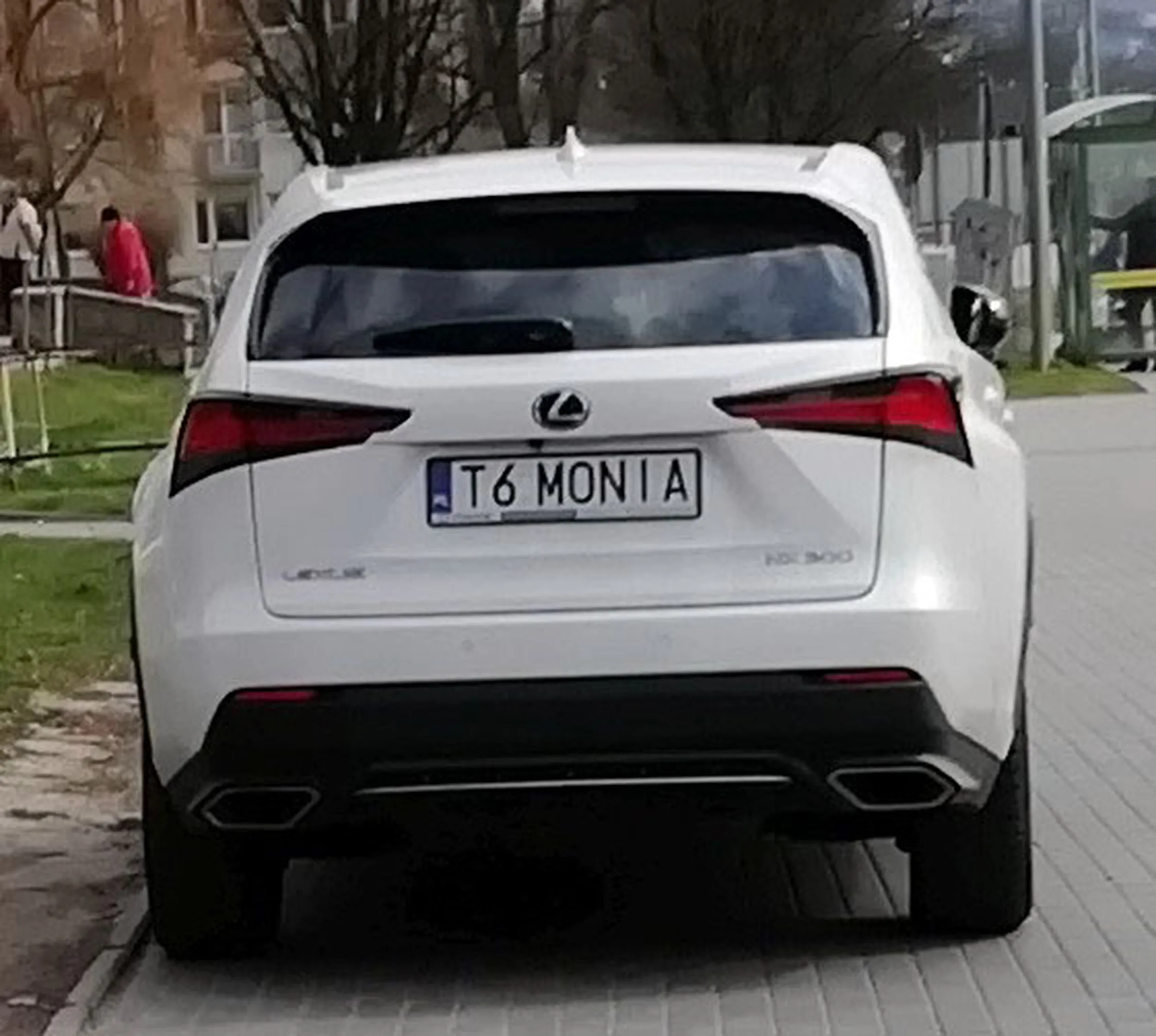 Fajny numer, blacha T6 MONIA