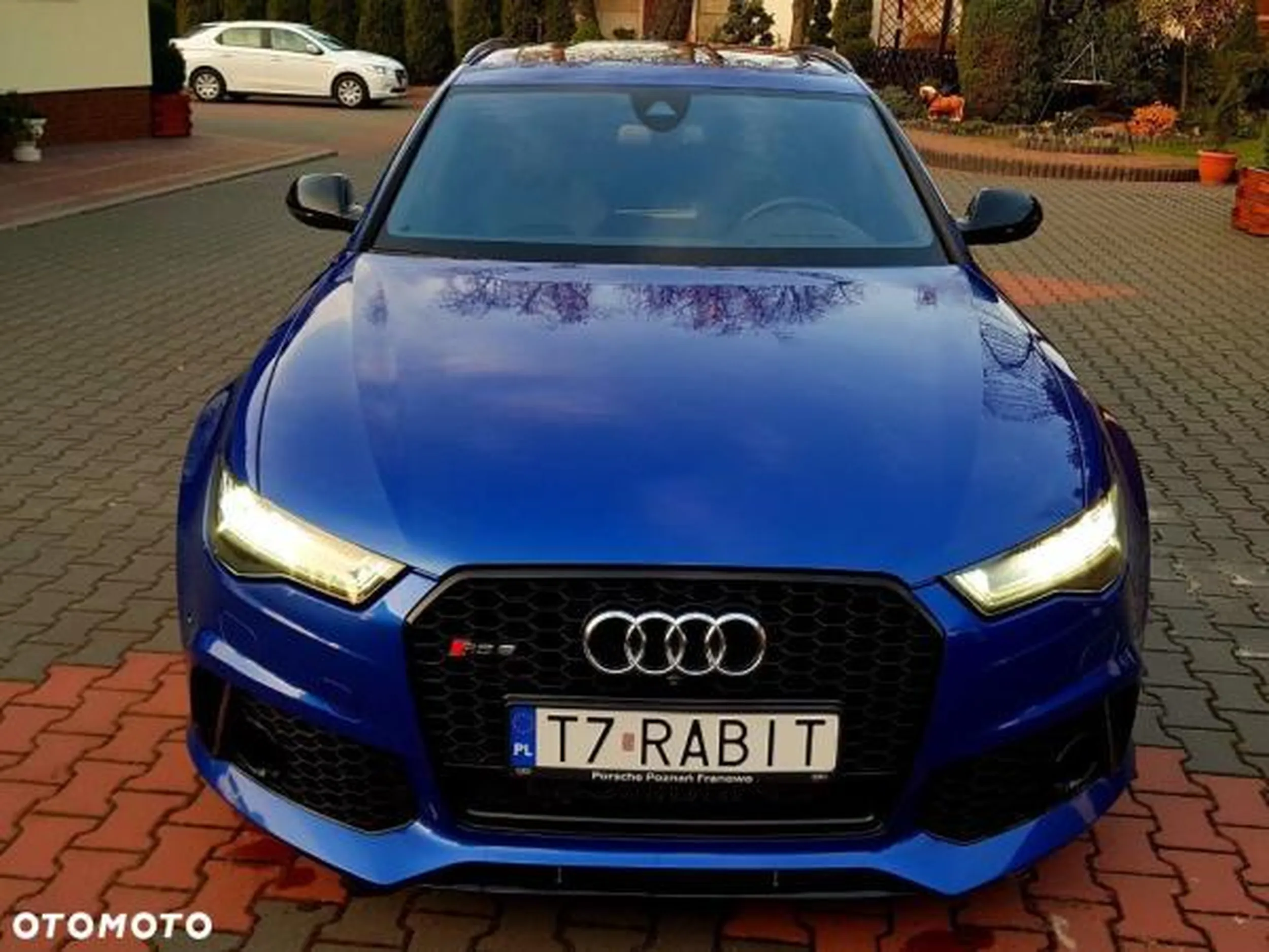 Fajny numer, blacha T7 RABIT