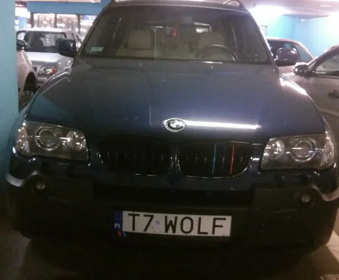 Fajny numer, blacha T7 WOLF