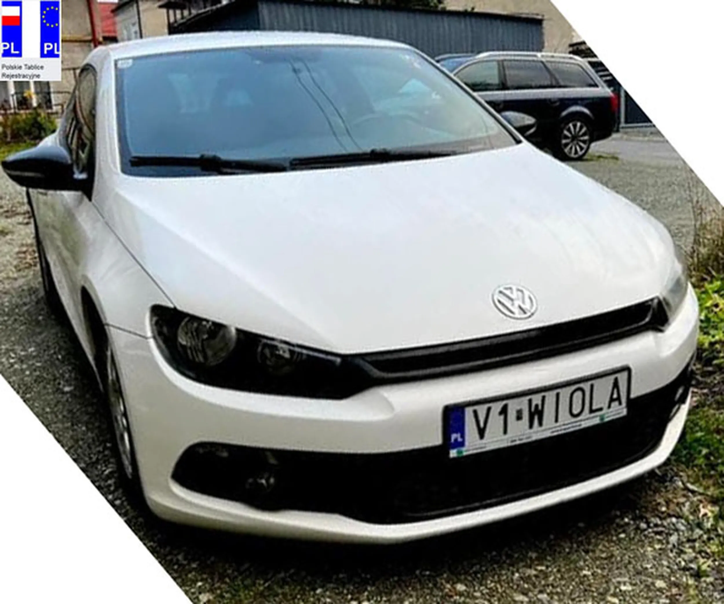 Fajny numer, blacha V1 WIOLA