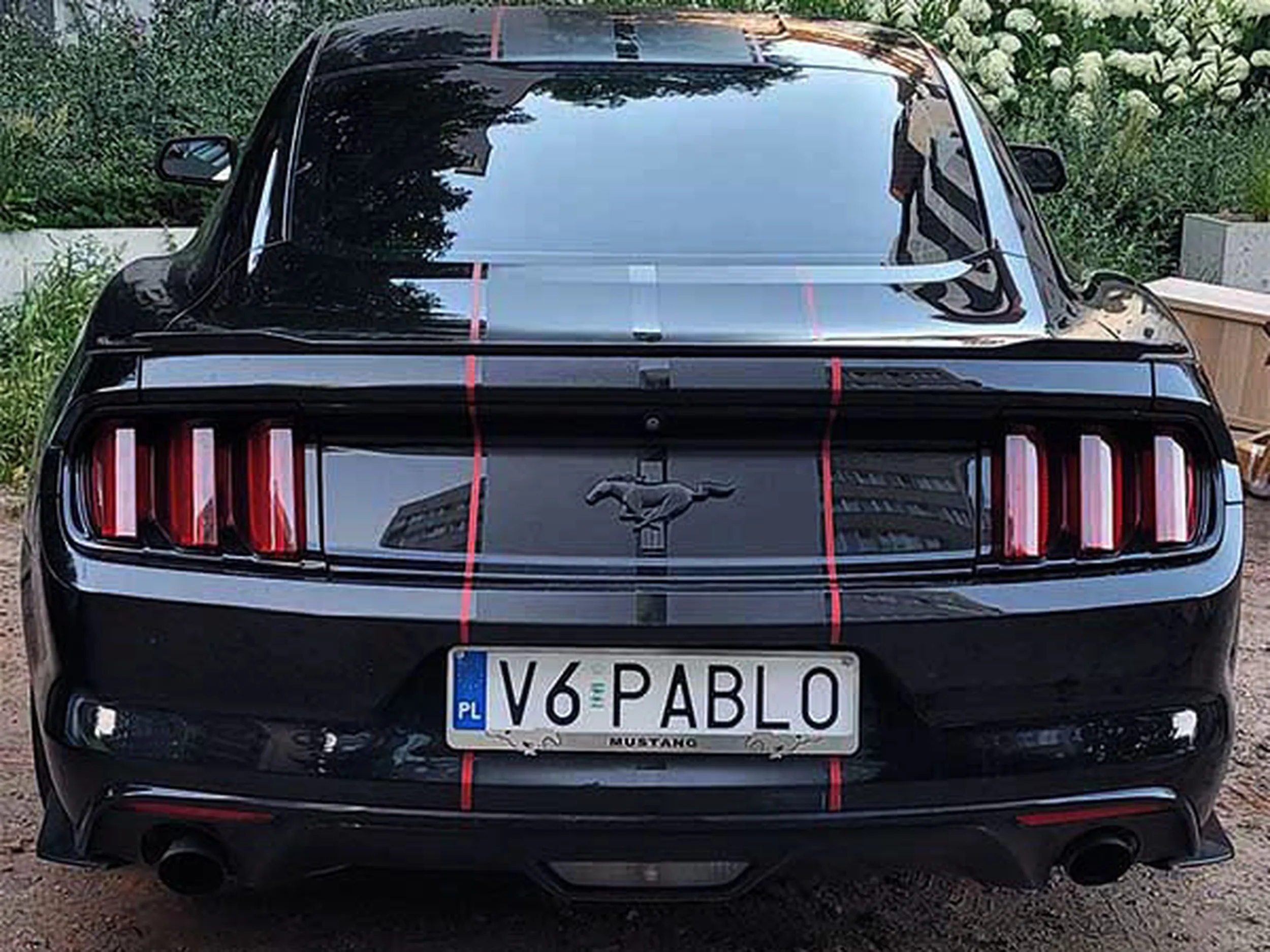 Fajny numer, blacha V6 PABLO