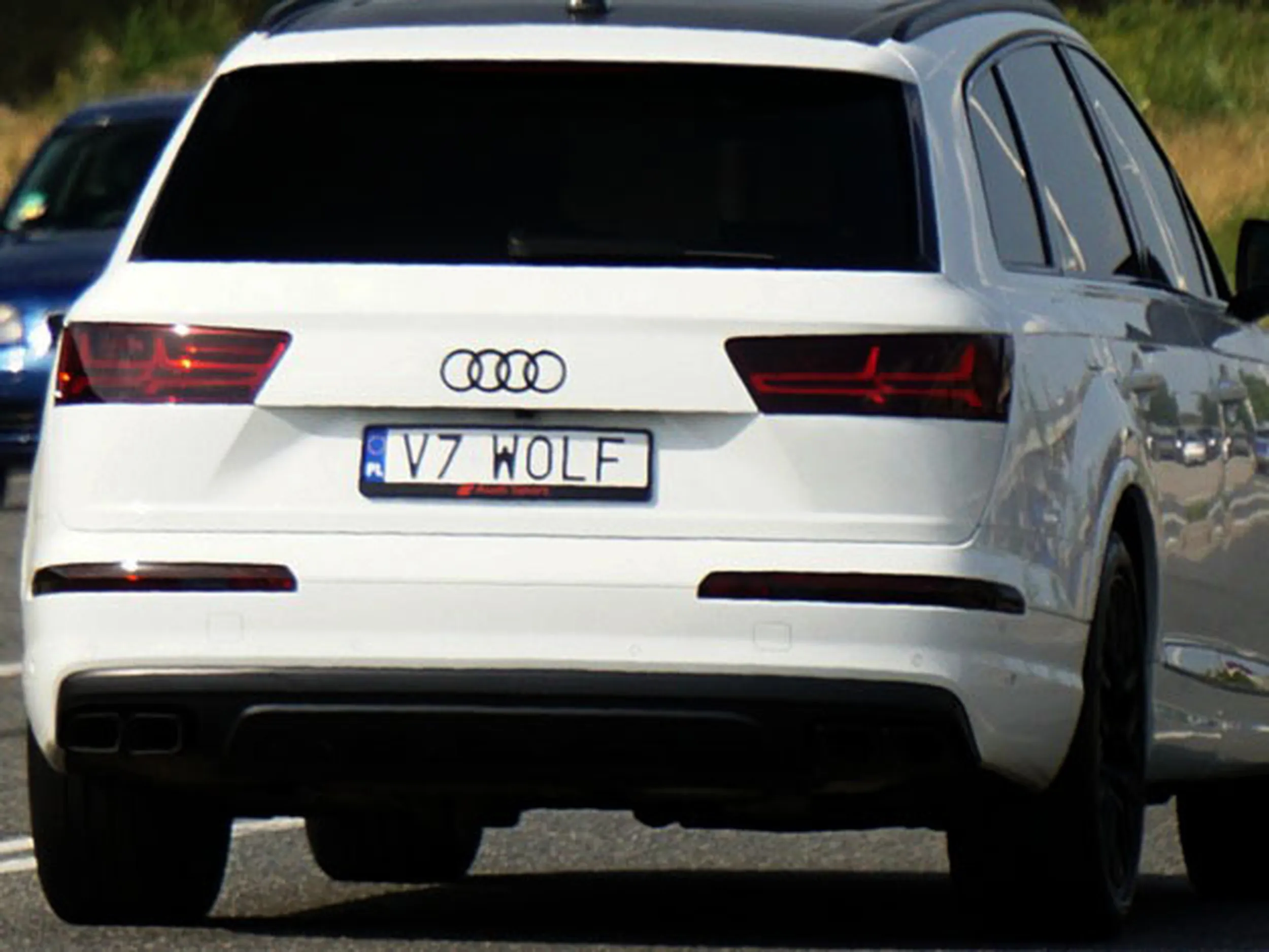 Fajny numer, blacha V7 WOLF