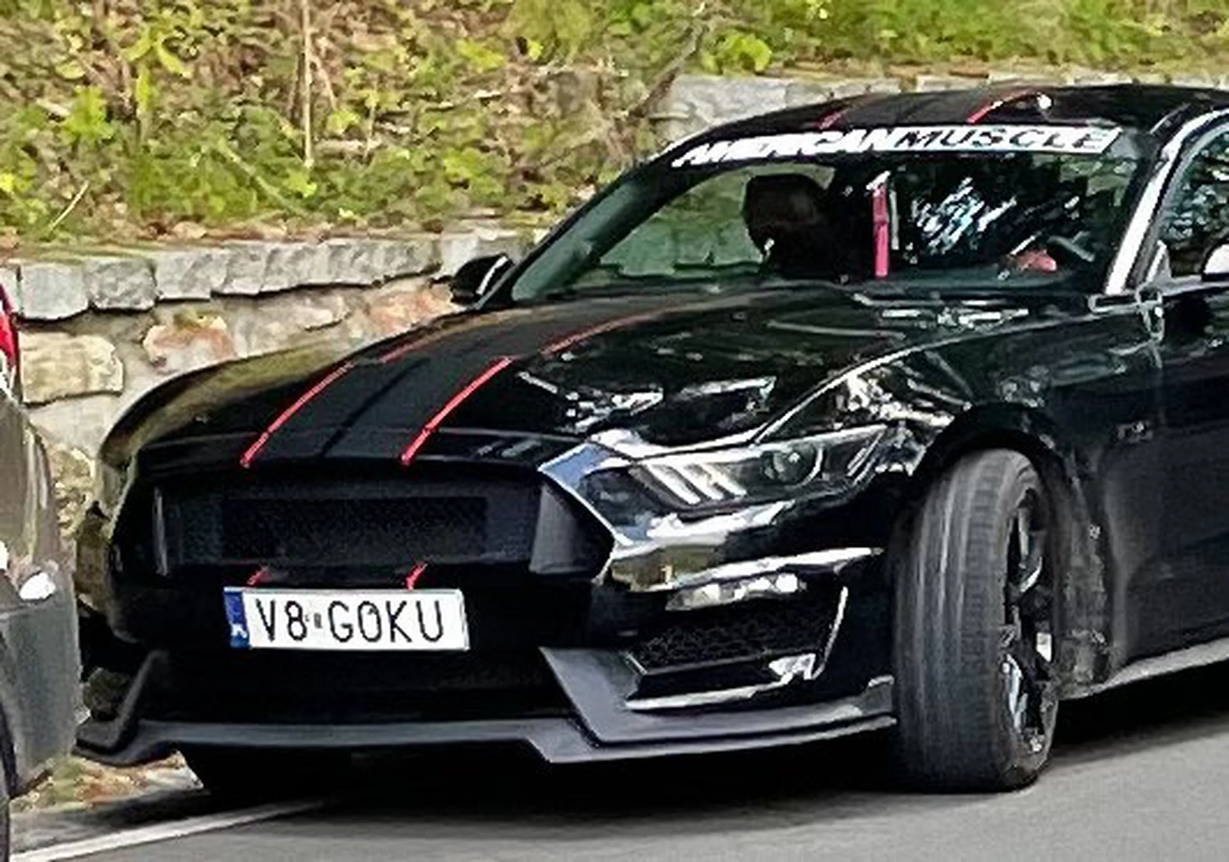 Fajny numer, blacha V8 GOKU