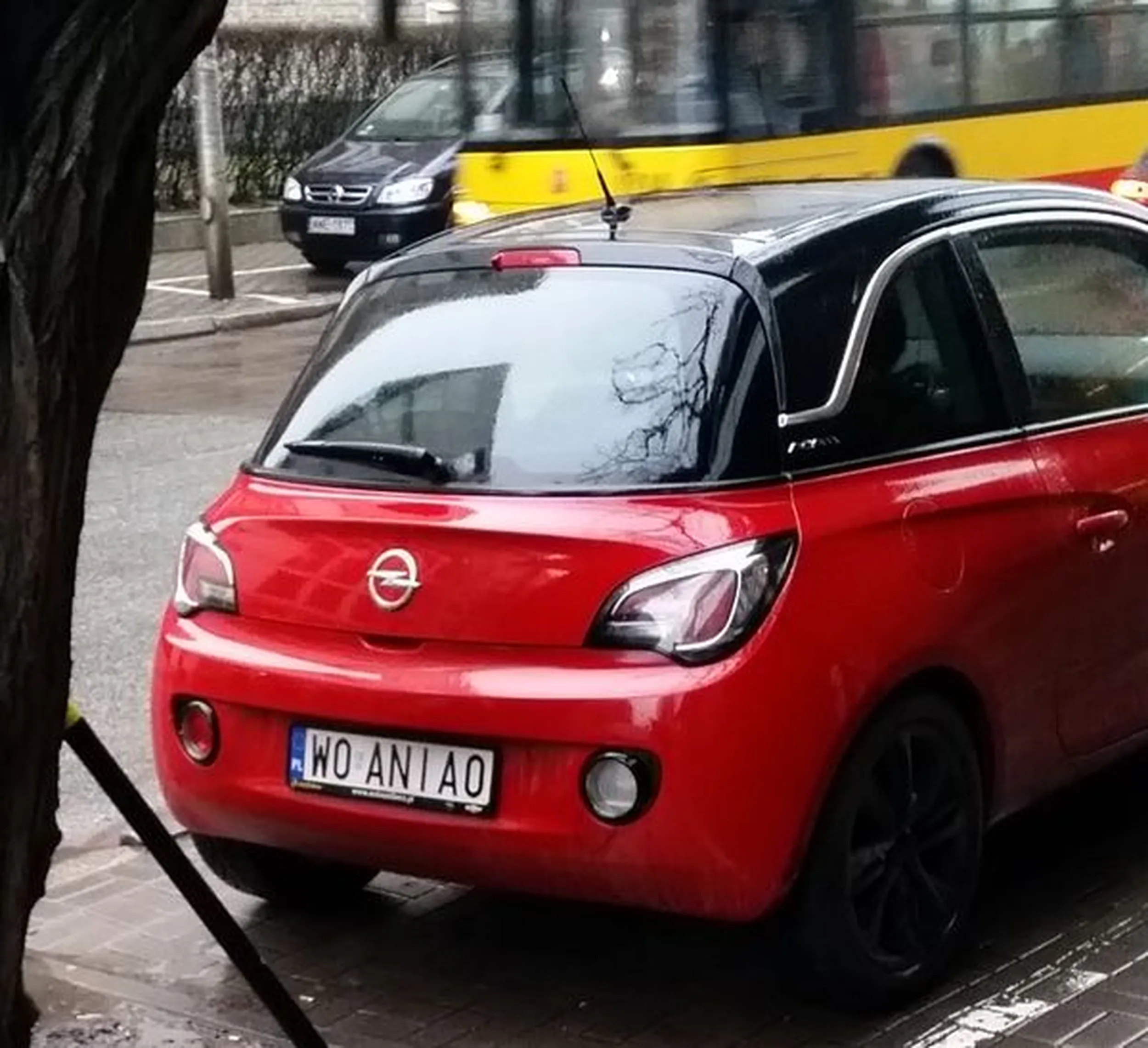 Fajny numer, blacha W0 ANIA0