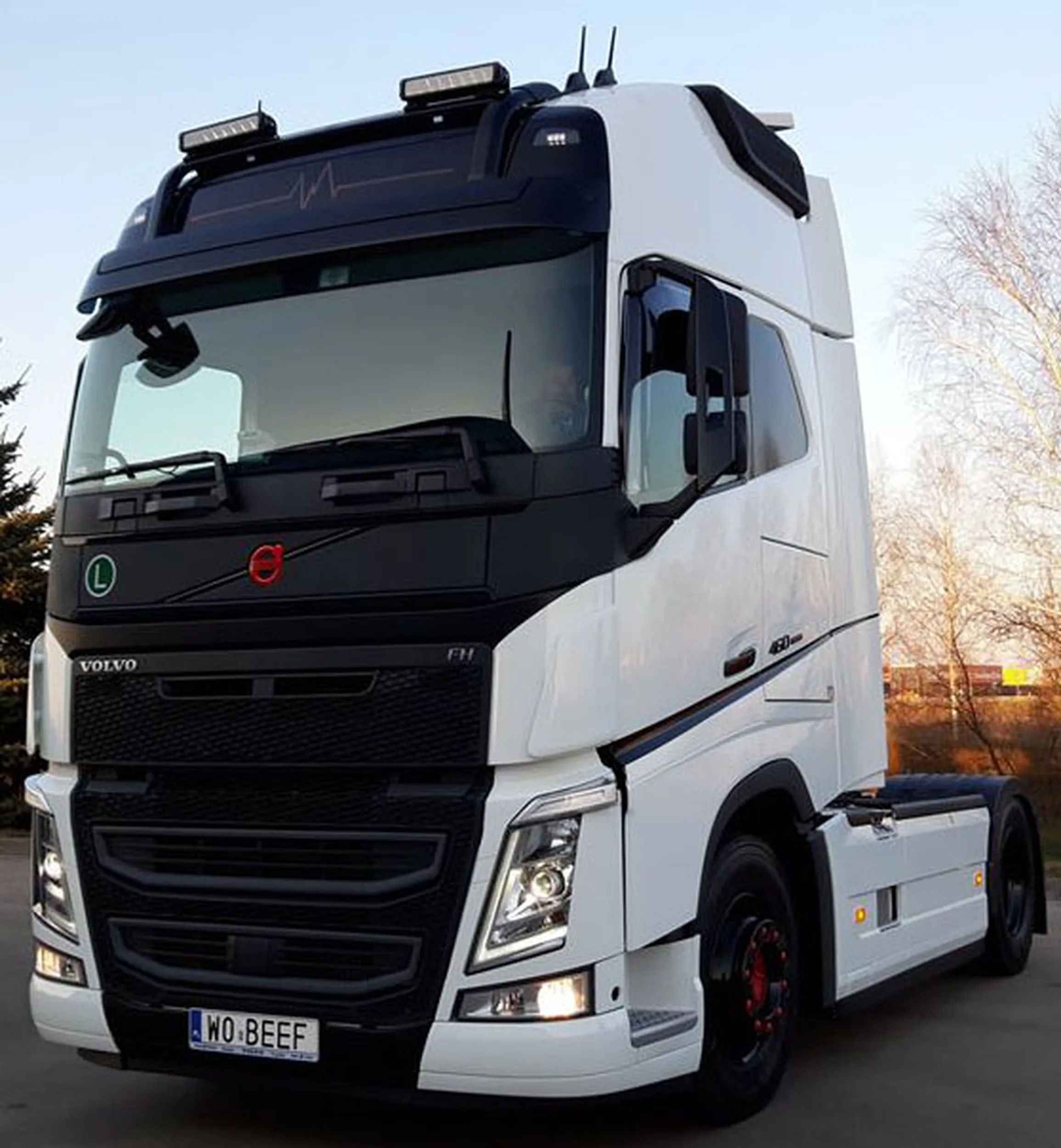 Fajny numer, blacha W0 BEEF