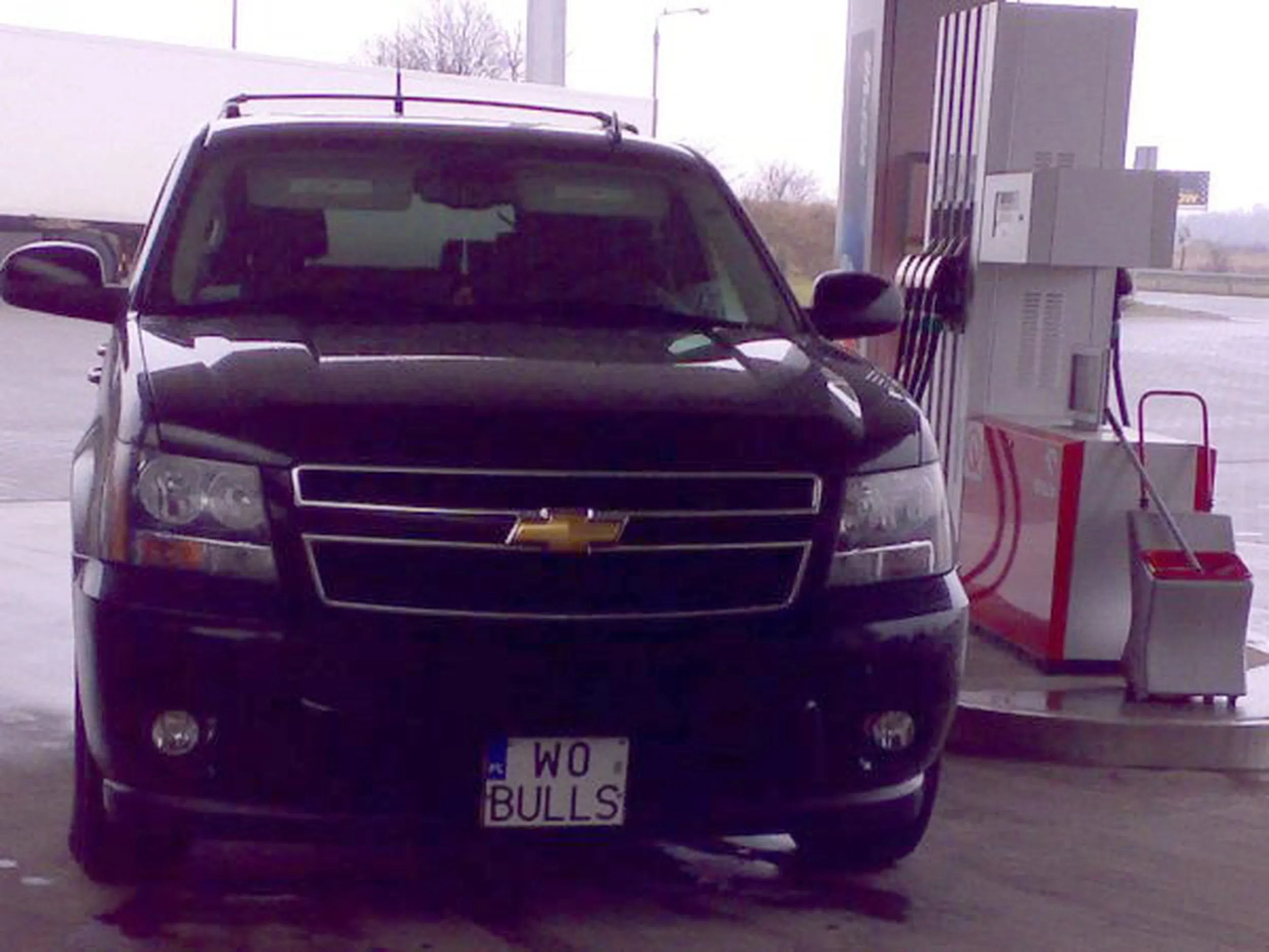 Fajny numer, blacha W0 BULLS