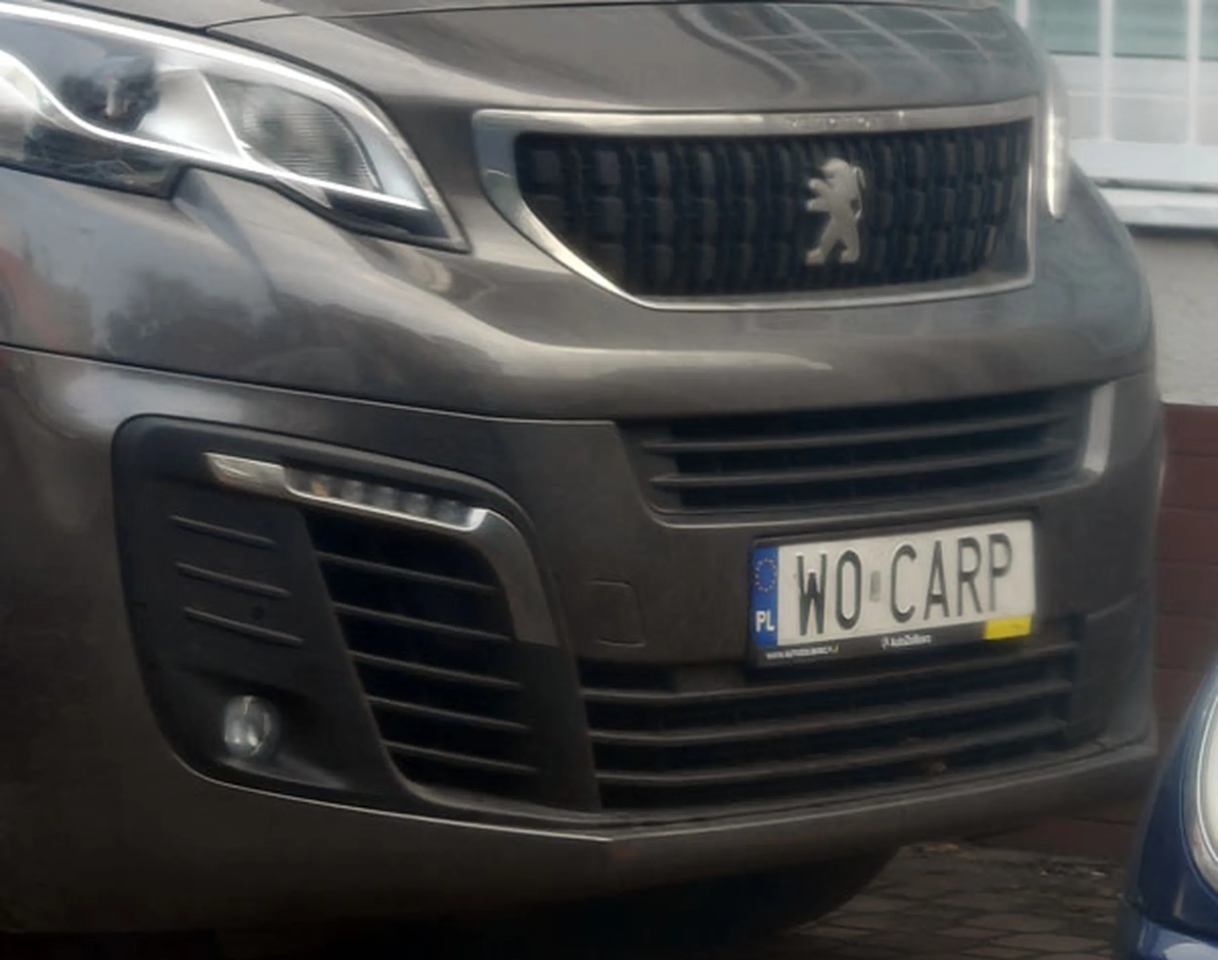 Fajny numer, blacha W0 CARP