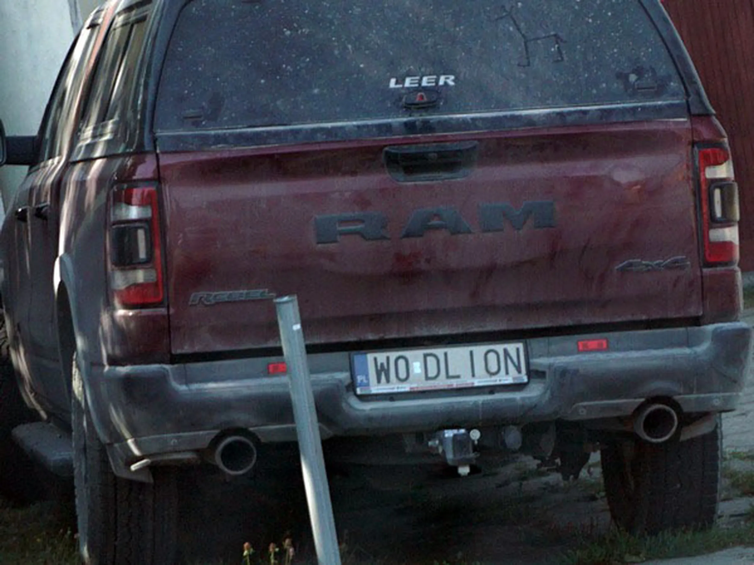 Fajny numer, blacha W0 DLION