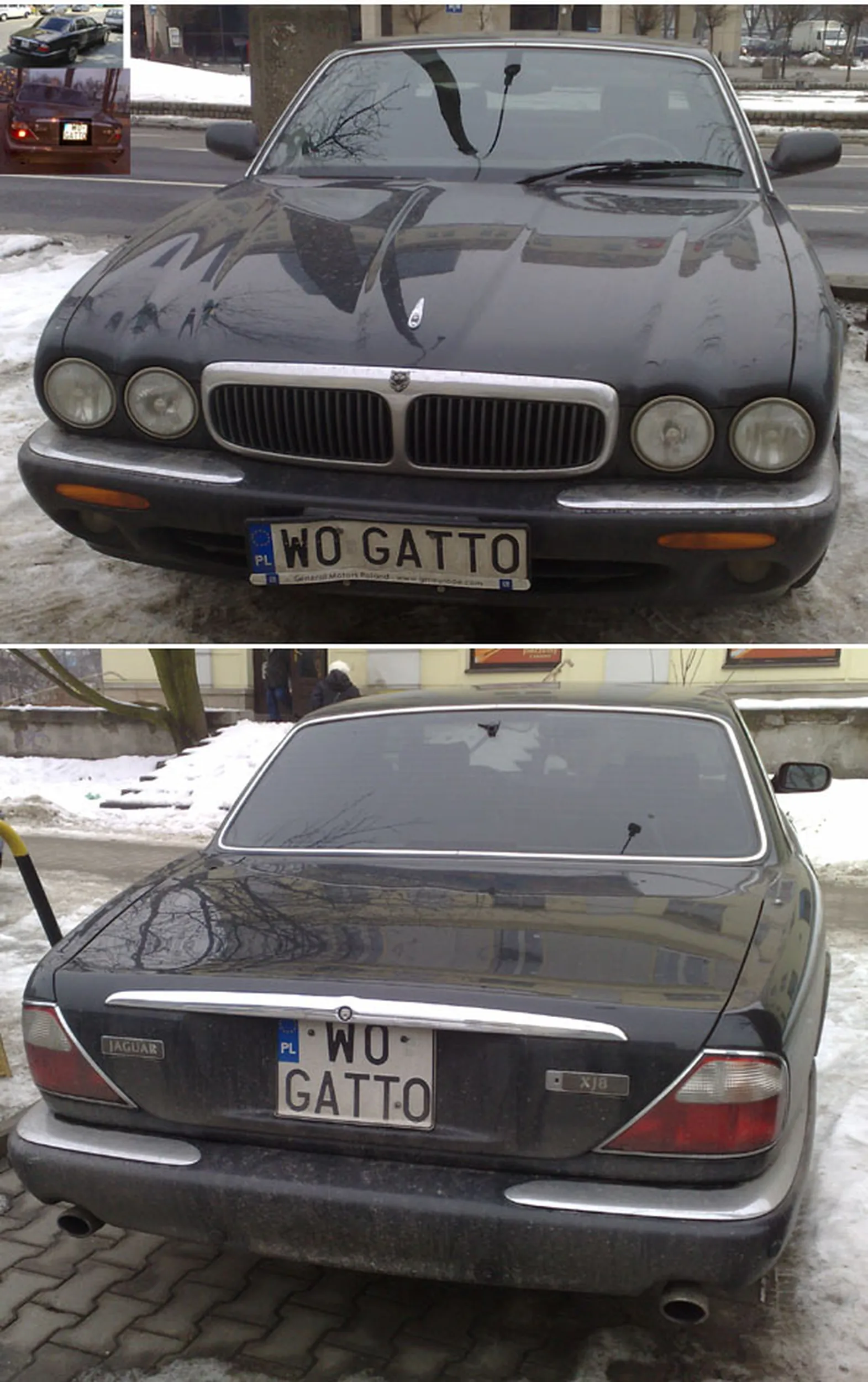 Fajny numer, blacha W0 GATTO