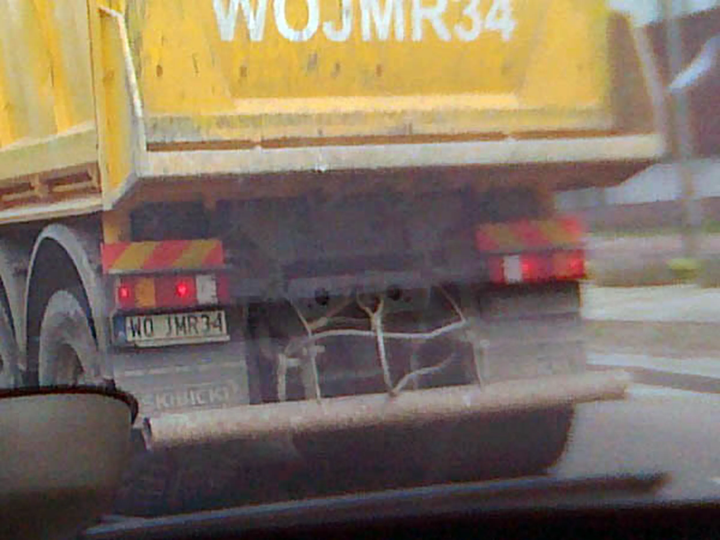 Fajny numer, blacha W0 JMR34