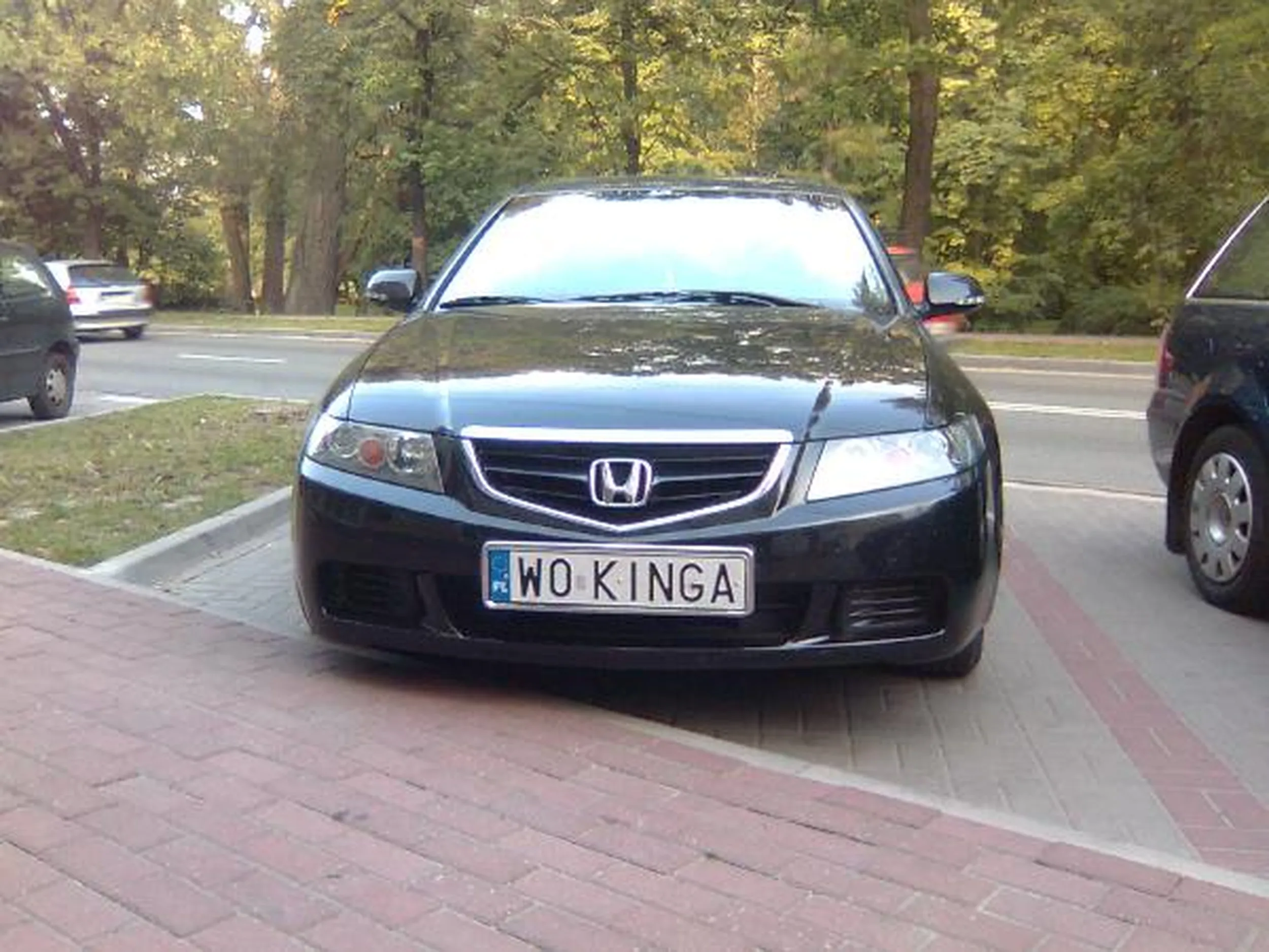 Fajny numer, blacha W0 KINGA