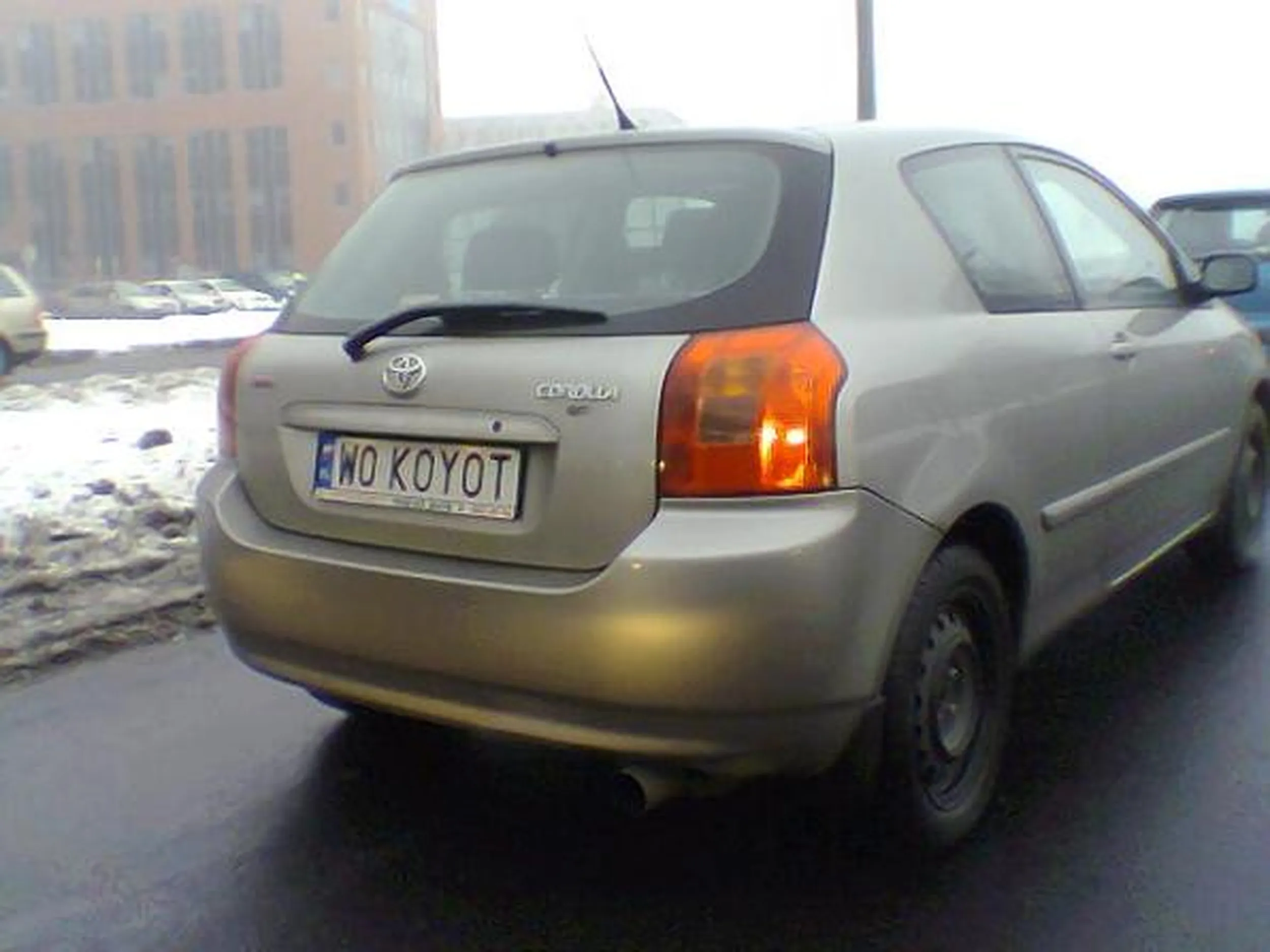 Fajny numer, blacha W0 KOYOT