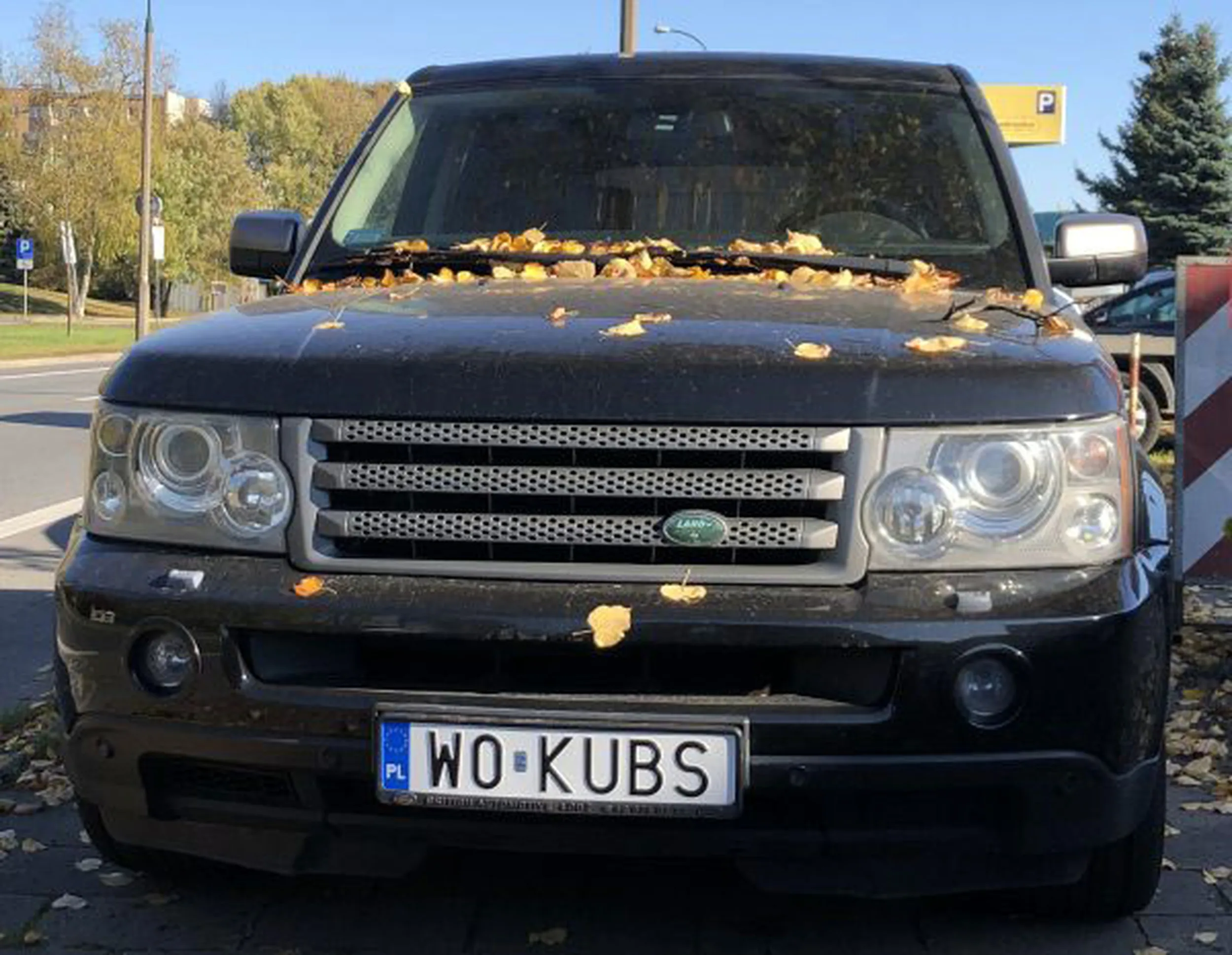 Fajny numer, blacha W0 KUBS