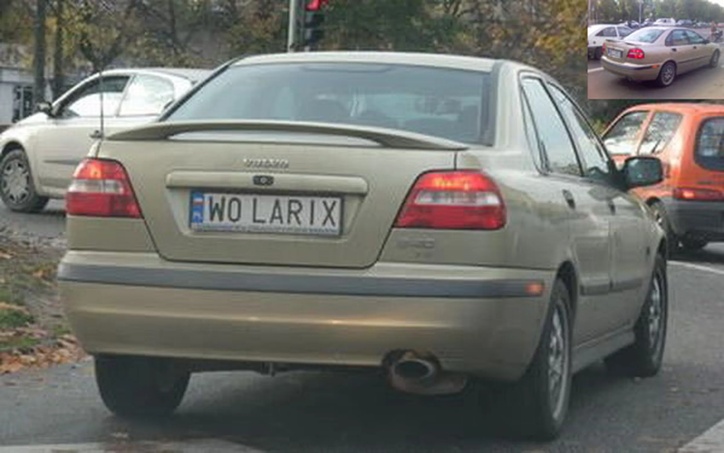 Fajny numer, blacha W0 LARIX