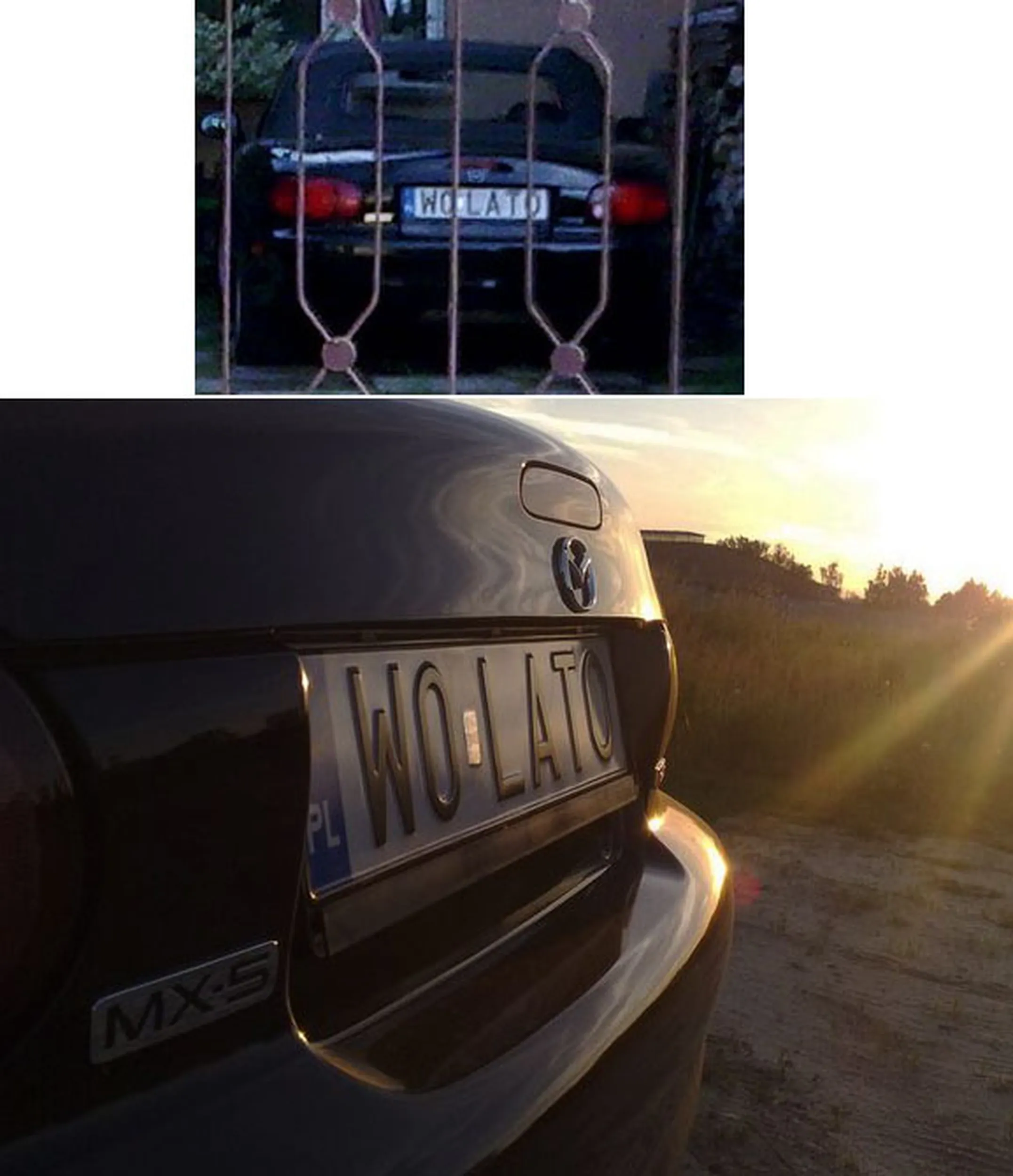 Fajny numer, blacha W0 LATO