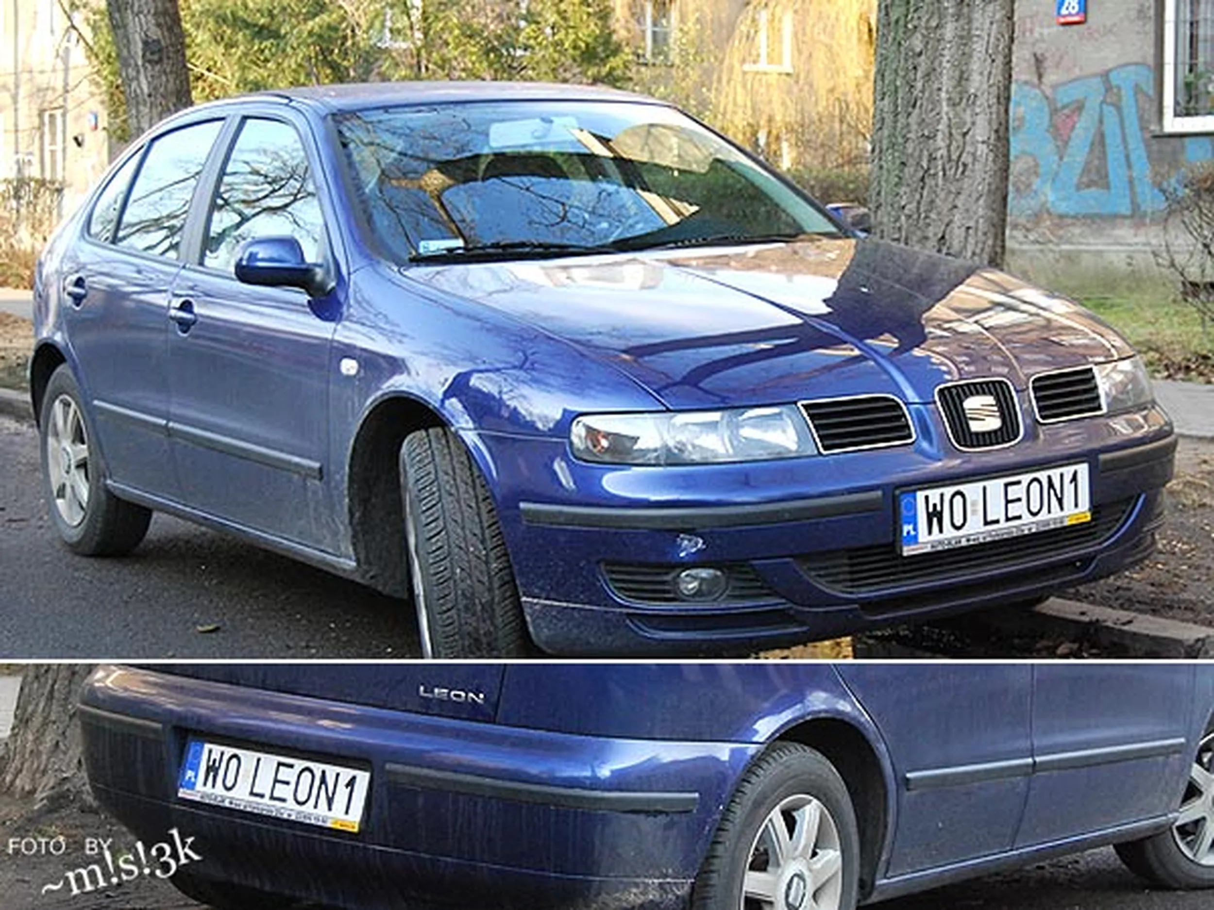 Fajny numer, blacha W0 LEON1