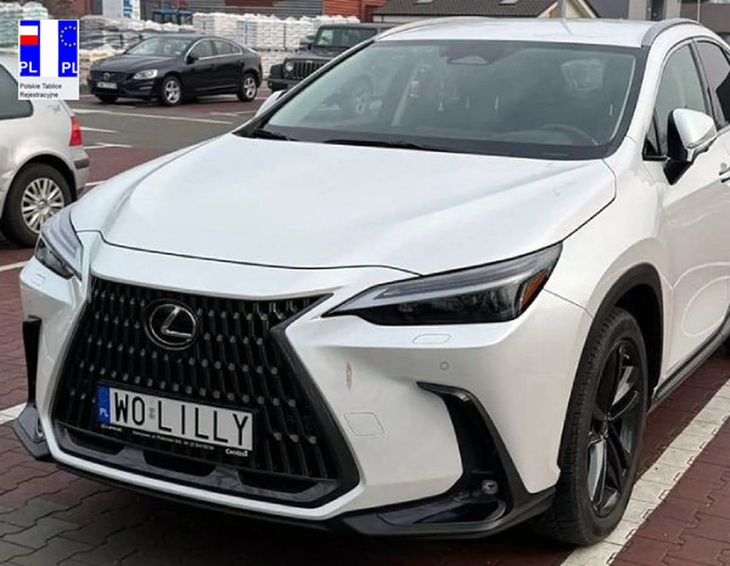 Fajny numer, blacha W0 LILLY