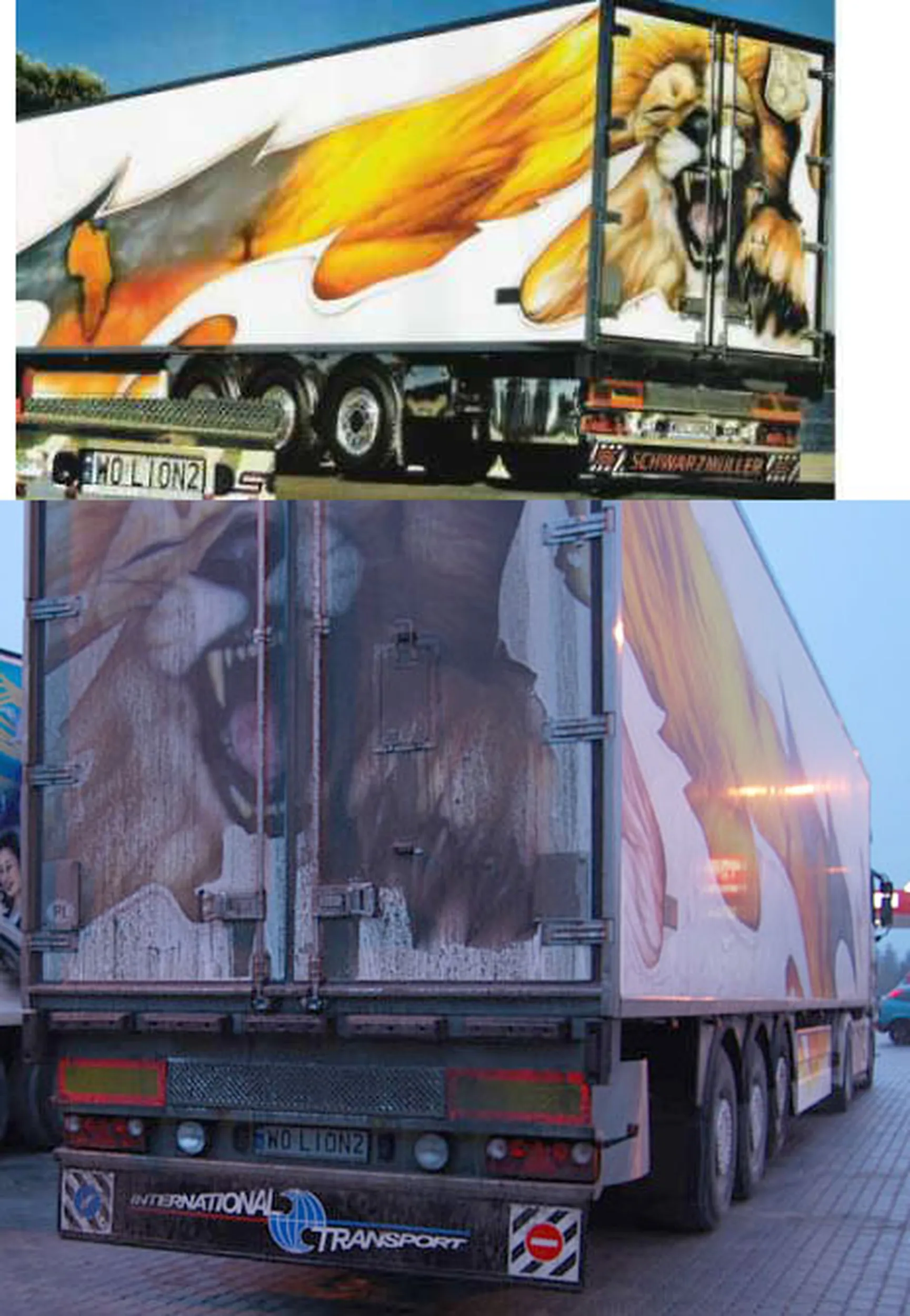 Fajny numer, blacha W0 LION2