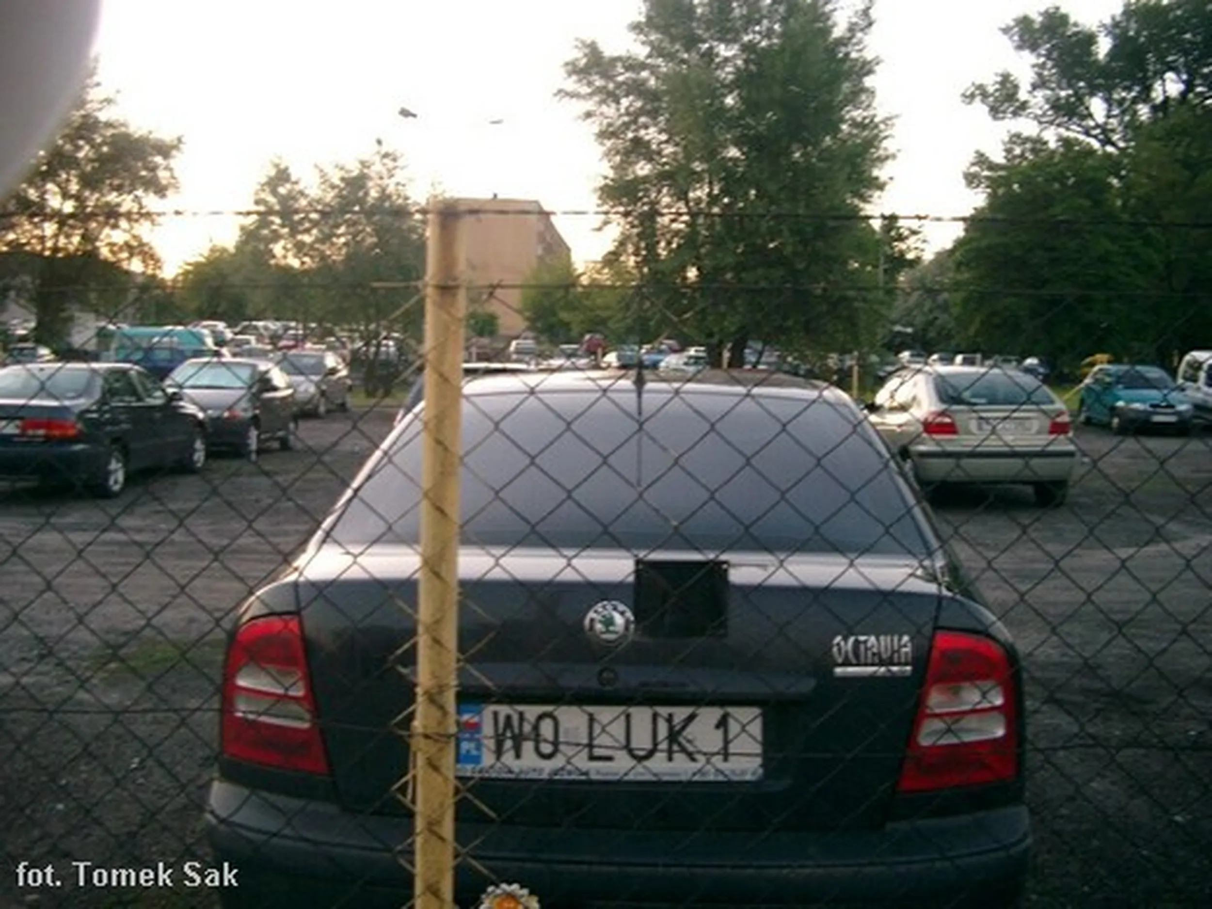 Fajny numer, blacha W0 LUK1