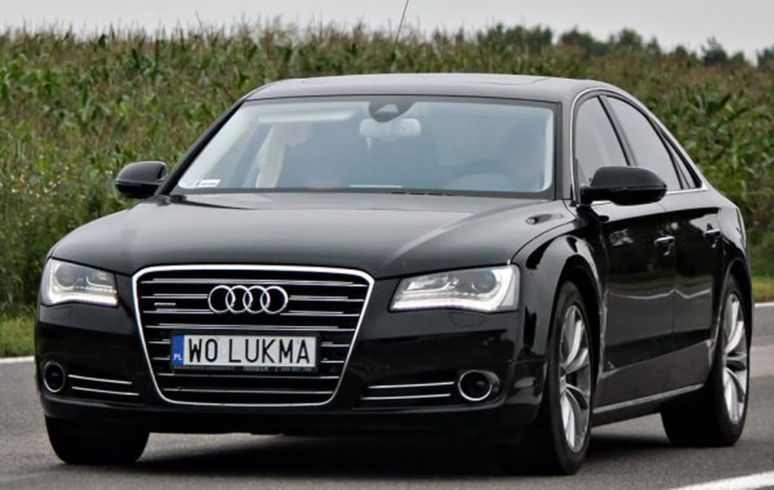 Fajny numer, blacha W0 LUKMA