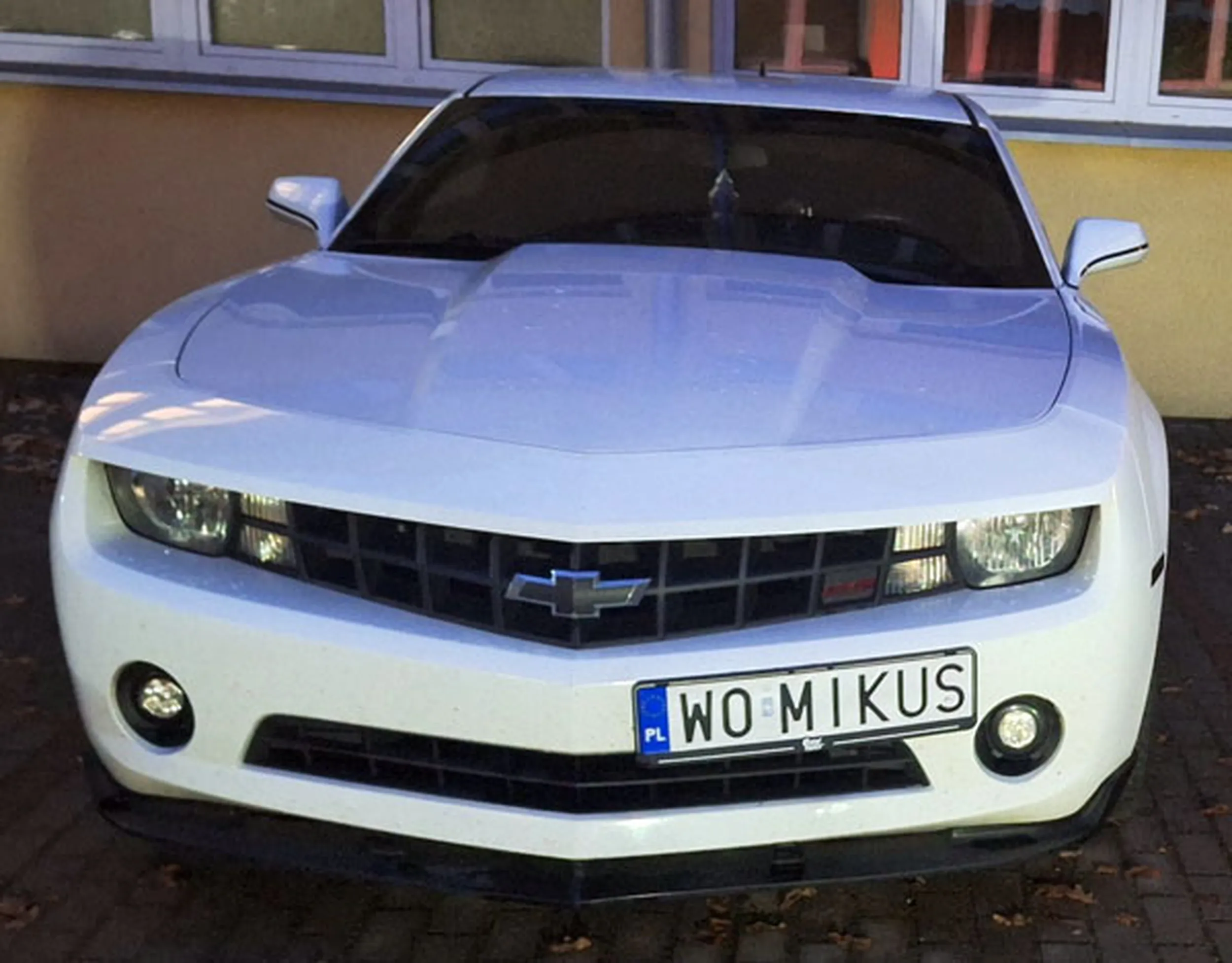 Fajny numer, blacha W0 MIKUS