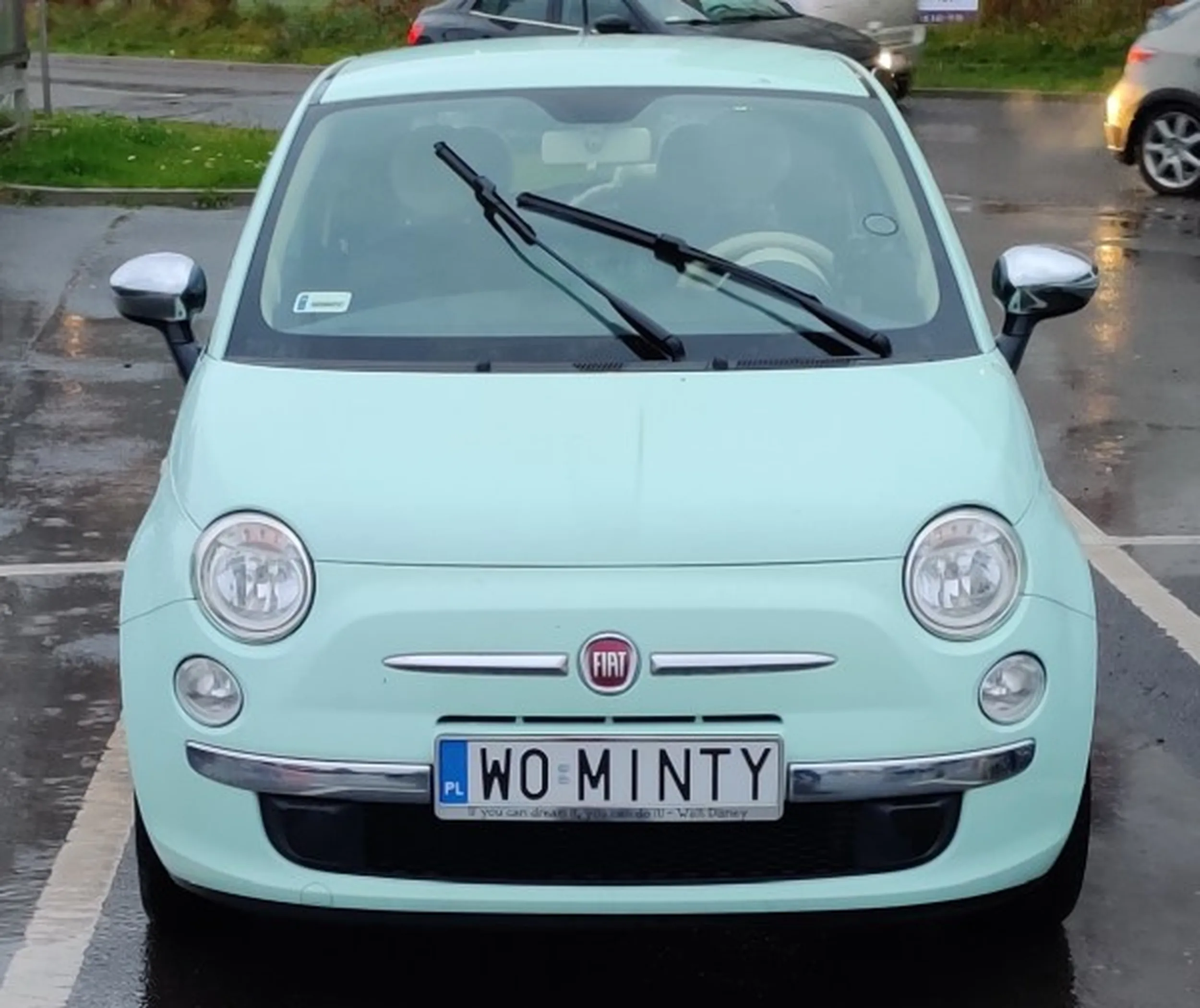 Fajny numer, blacha W0 MINTY