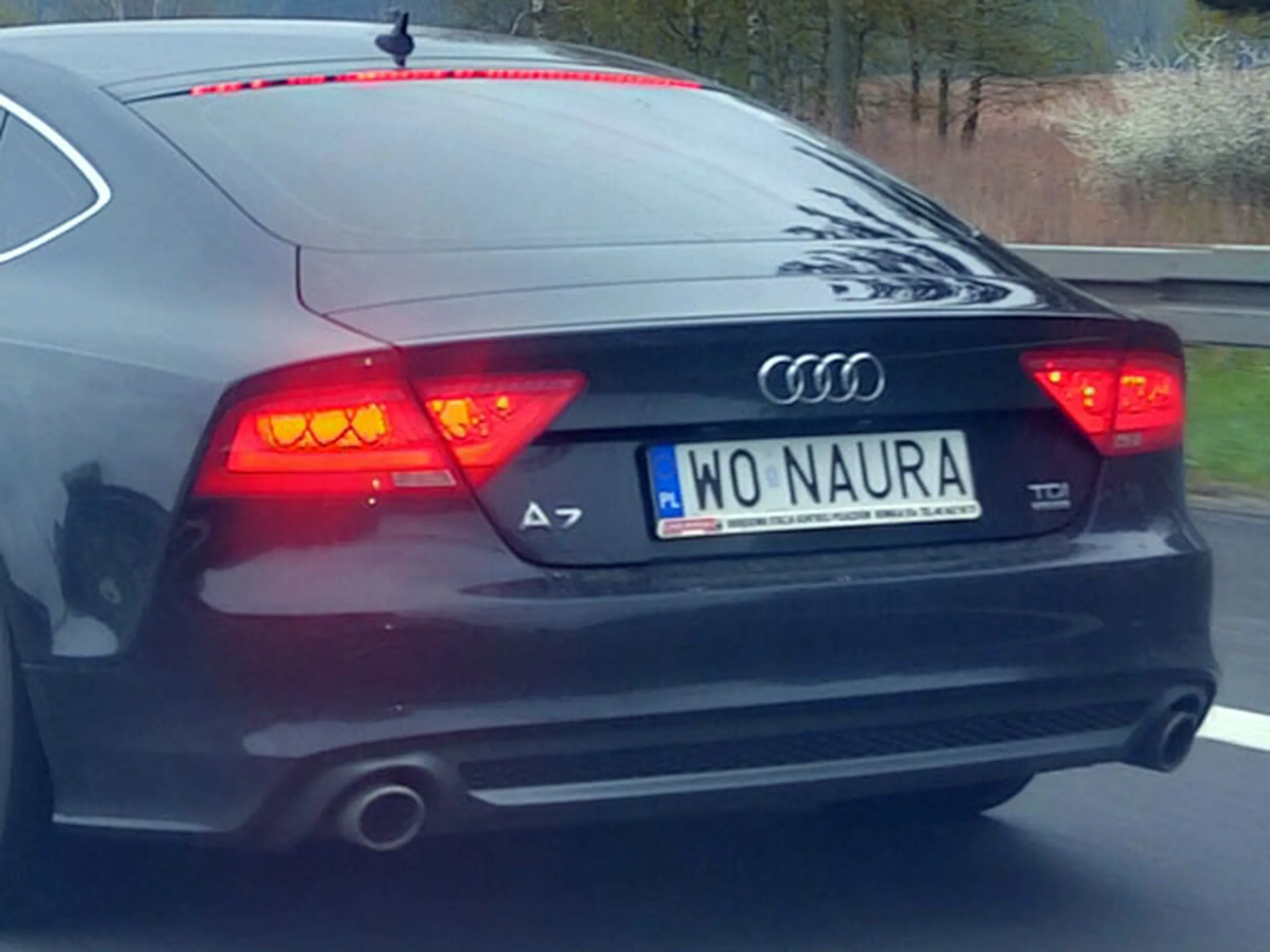 Fajny numer, blacha W0 NAURA