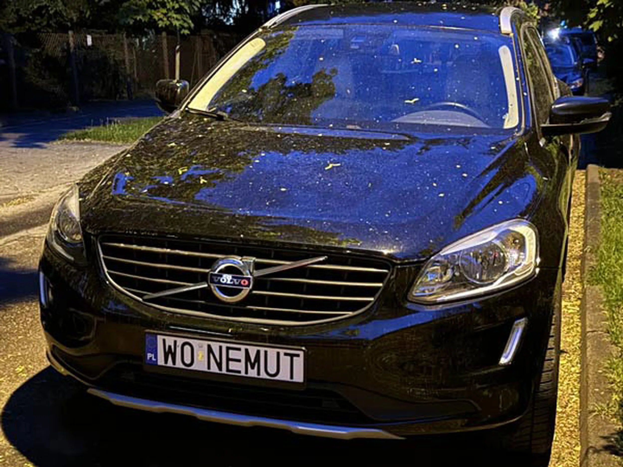 Fajny numer, blacha W0 NEMUT