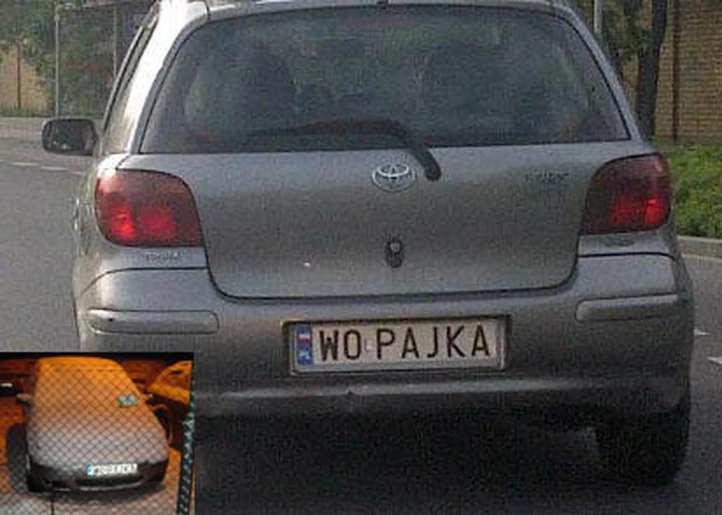 Fajny numer, blacha W0 PAJKA