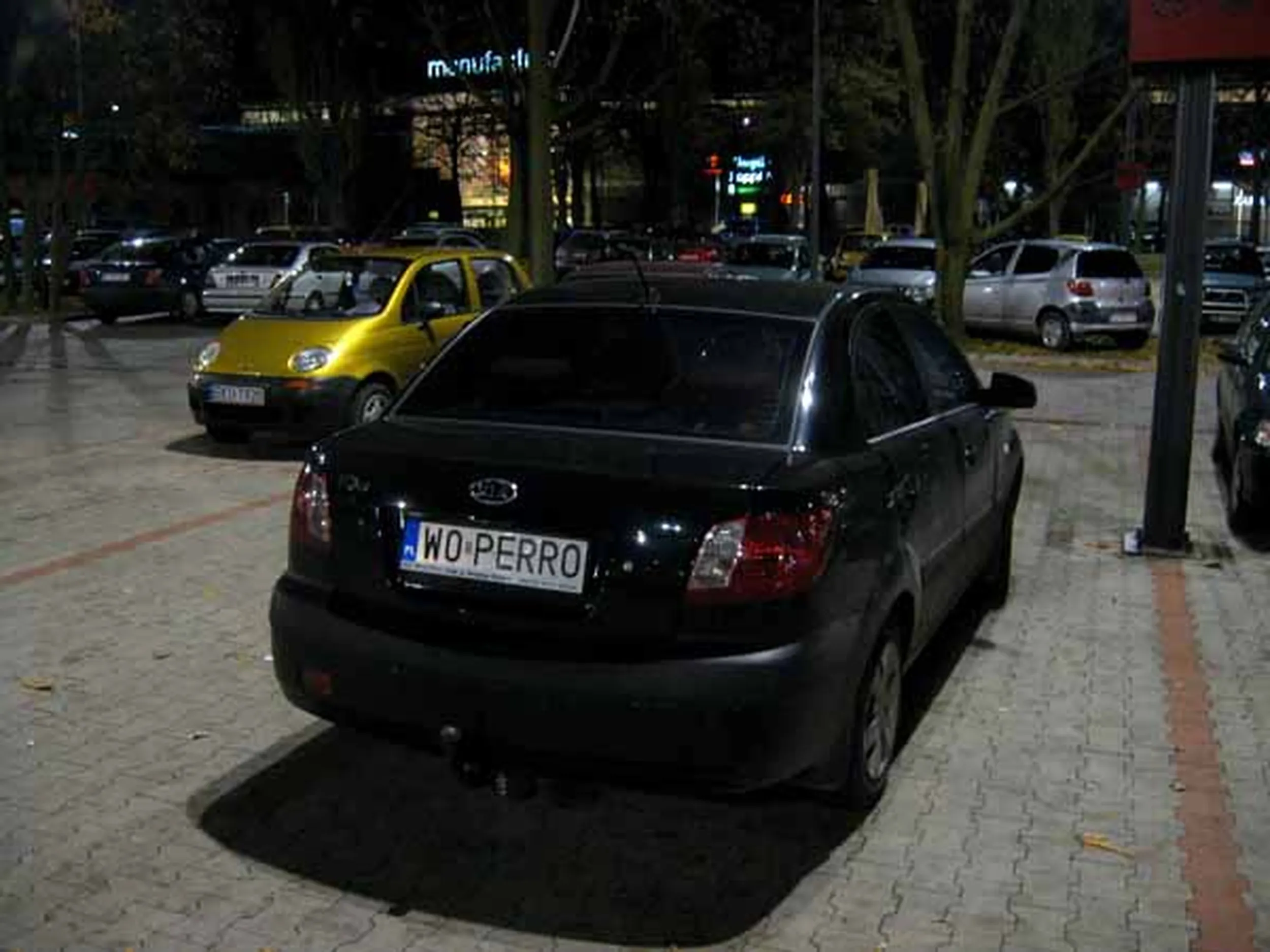 Fajny numer, blacha W0 PERRO