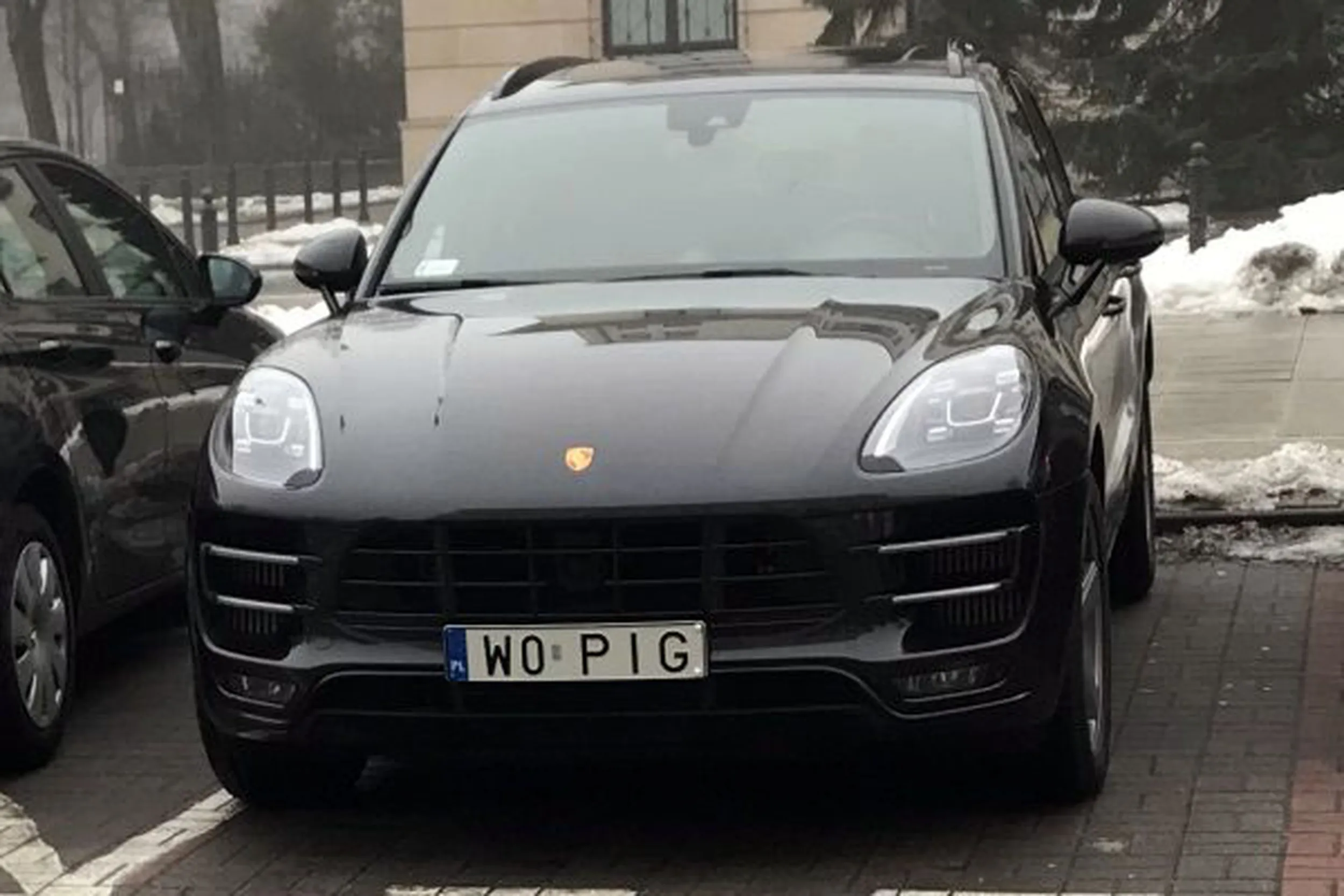 Fajny numer, blacha W0 PIG